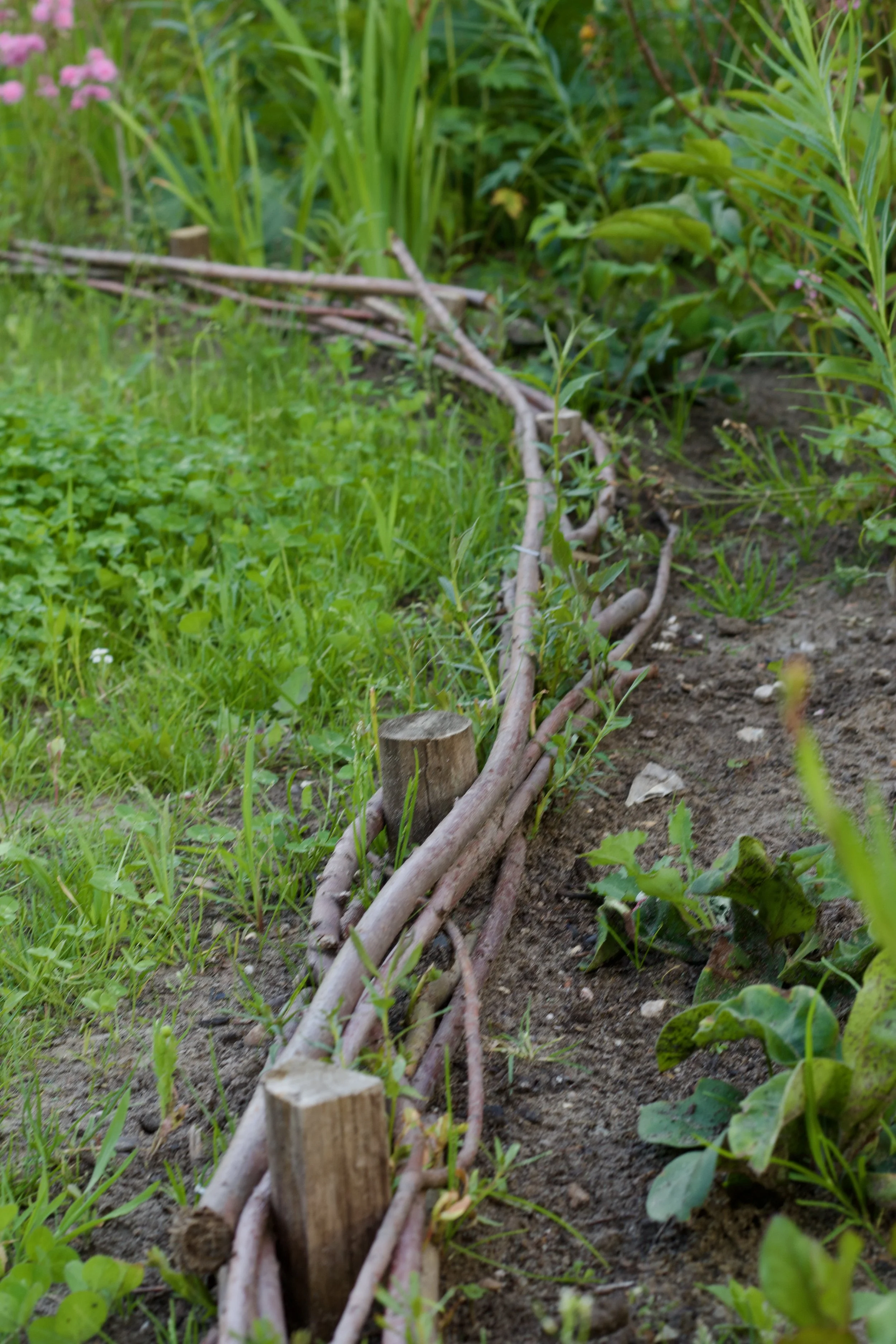 Wilgentenen als als borderrand. Speels en natuurlijk materiaal. 