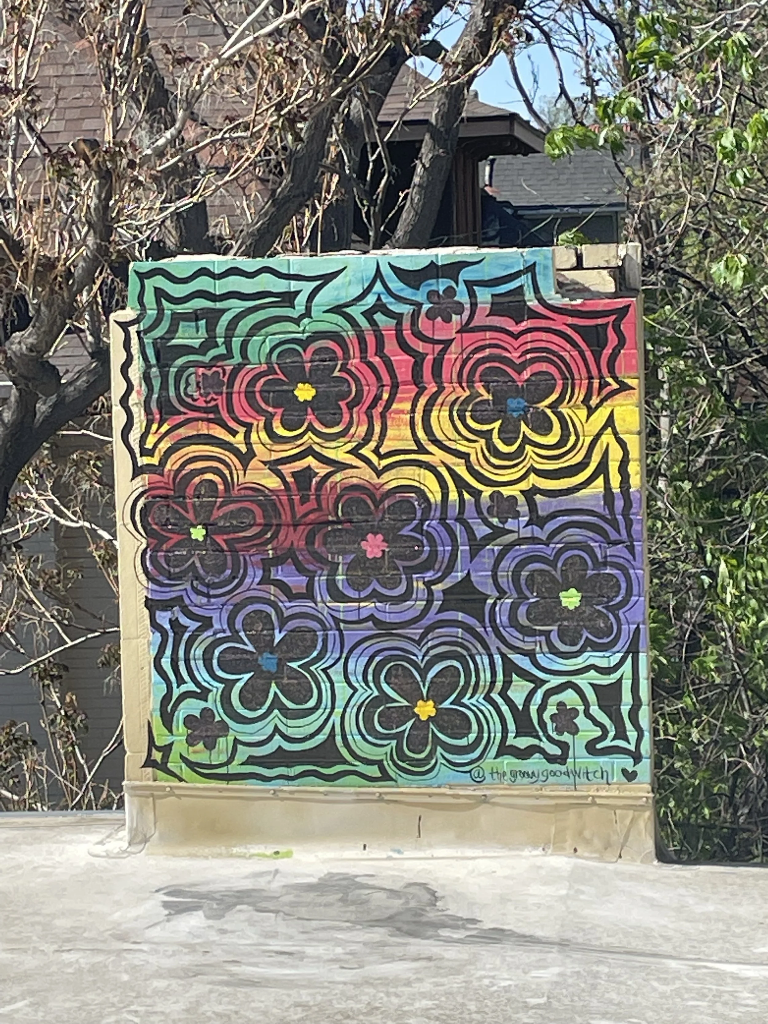 IMG_6372_Original.jpeg