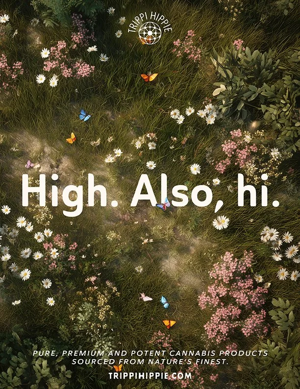 Hi_High_small2.jpg