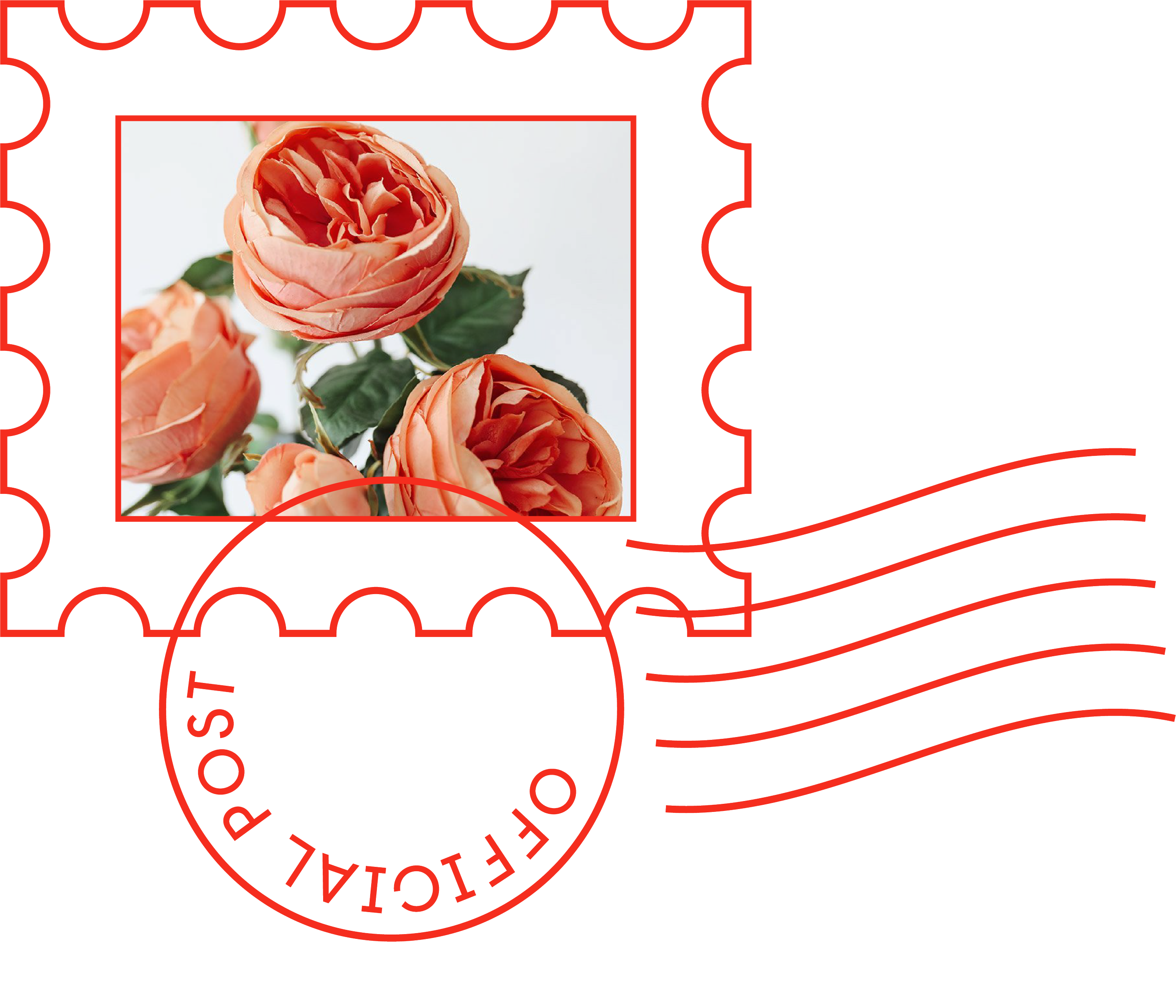 A clear photo of peach-colored roses with green leaves, with an area of the image covered by a red and white label featuring the word 'Rose' in a curved pattern, and other red and white design elements.