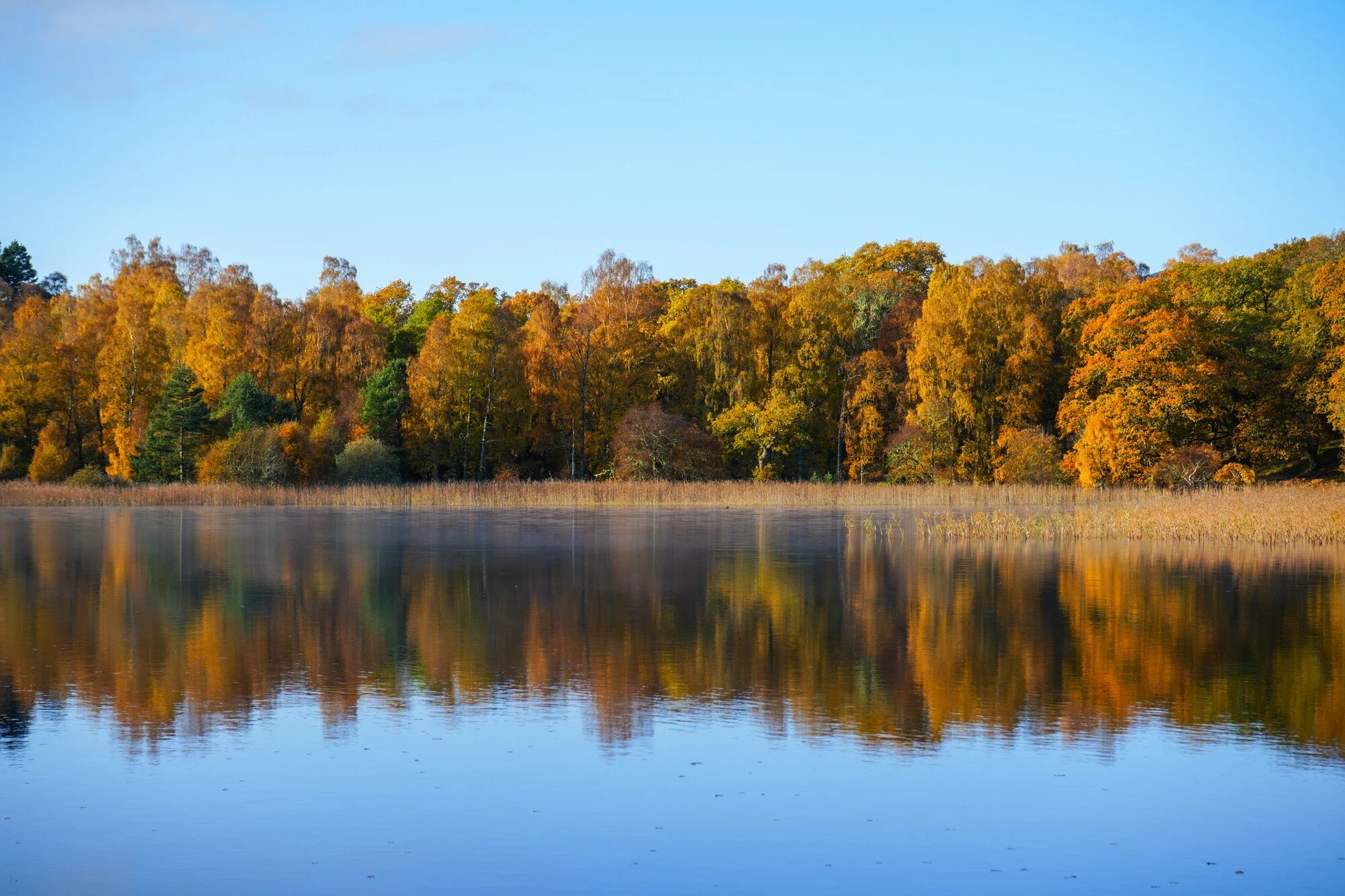Louise Took web portfolio Loch Pityoulish autumn fall colours highlands scotland.jpg