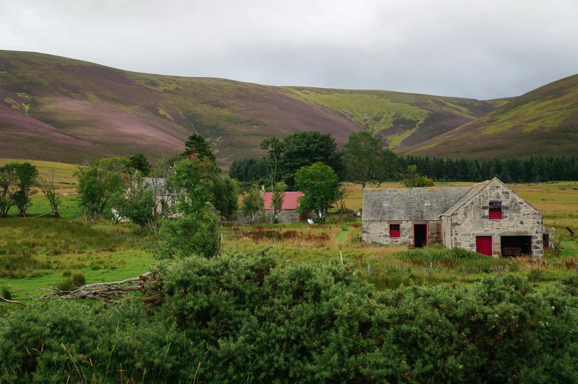 Louise Took web portfolio Scalan landscape Glenlivet Highlands.jpg