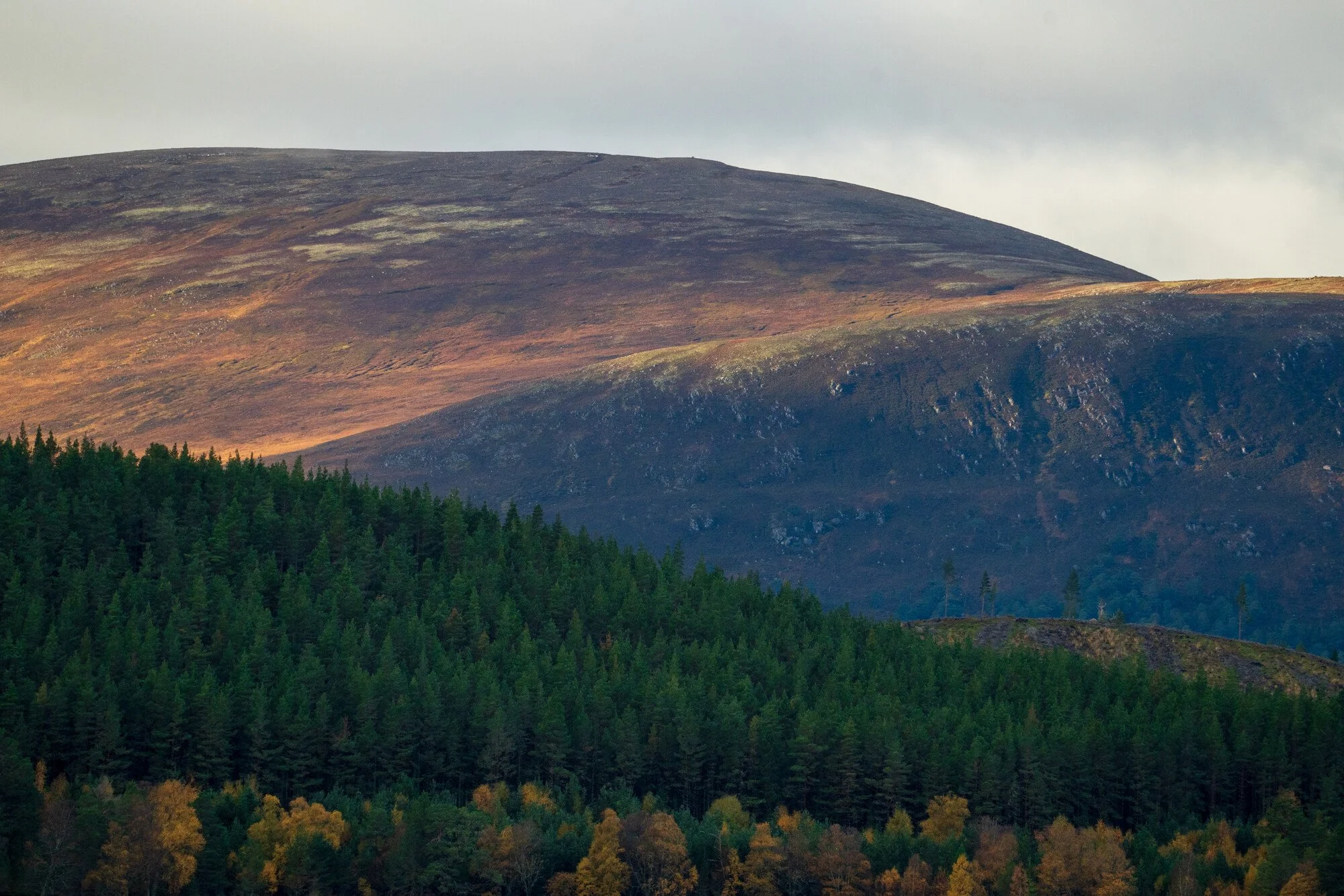 Louise Took web portfolio dramatic Cairngorms Highlands Scotland.jpg