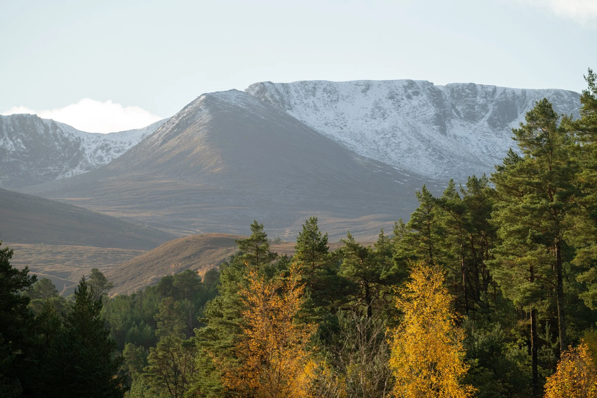 Louise Took web portfolio Cairngorms Braeriach.jpg