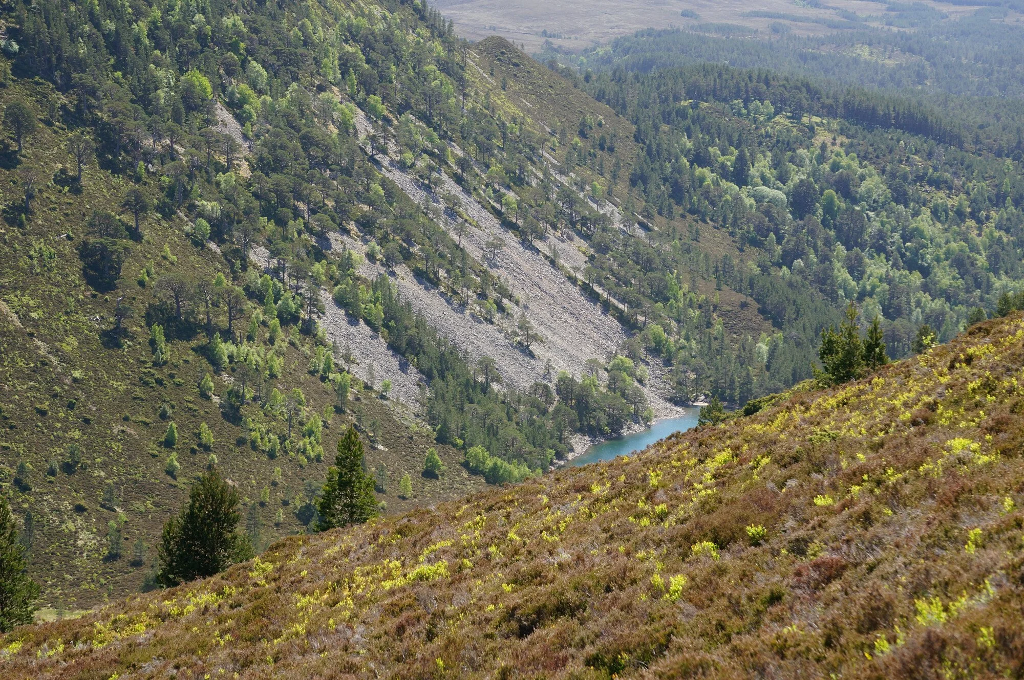 Louise Took web portfolio an Lochan Uaine landscape Highlands.jpg