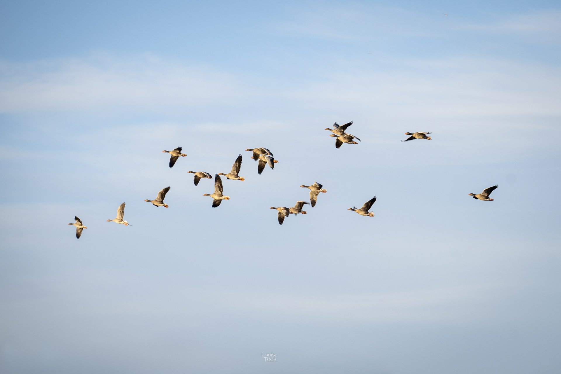 LouiseTook_webportfolio-094.jpg