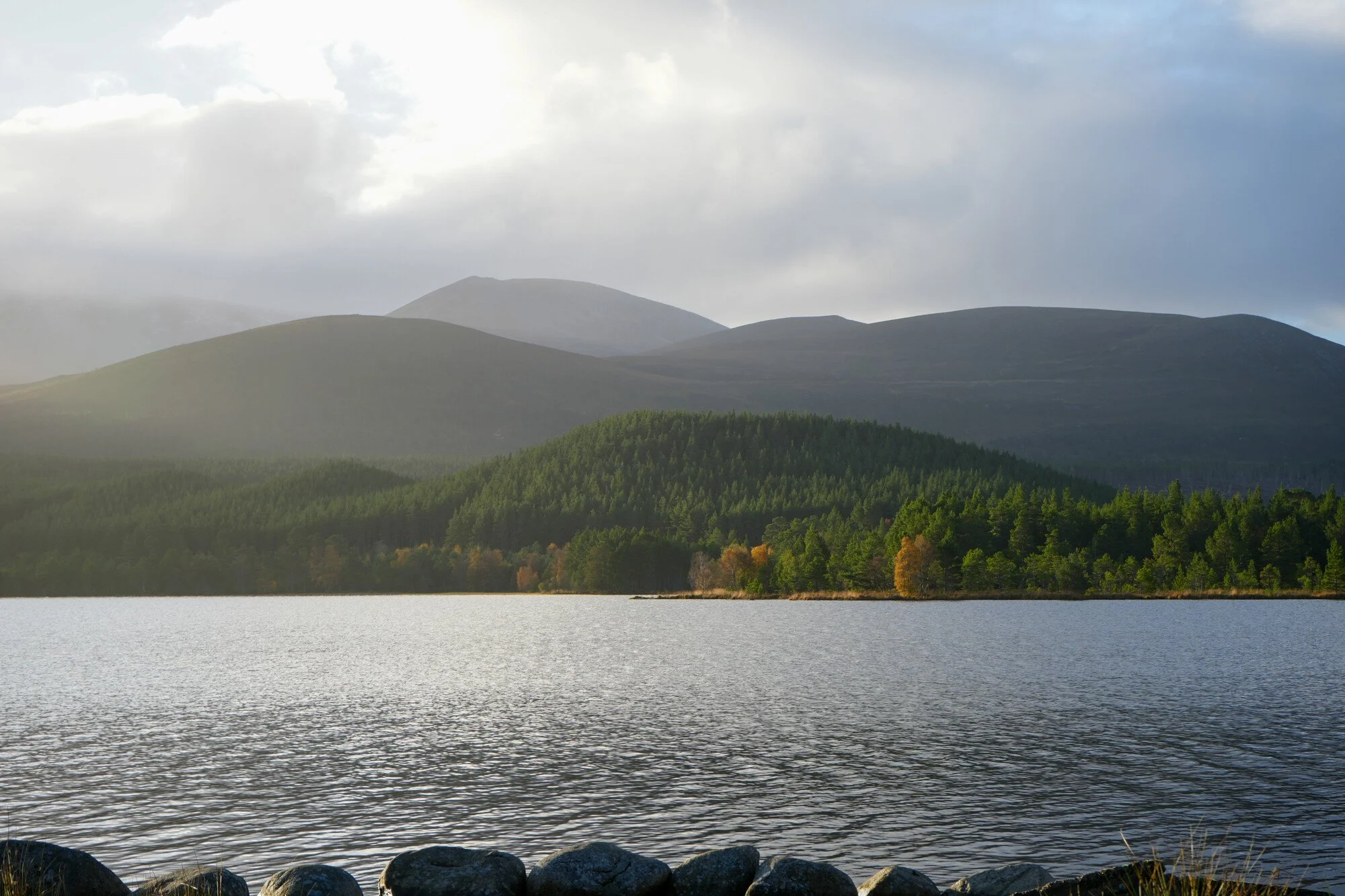 Louise Took web portfolio Loch Morlich highlands scotland landscape.jpg