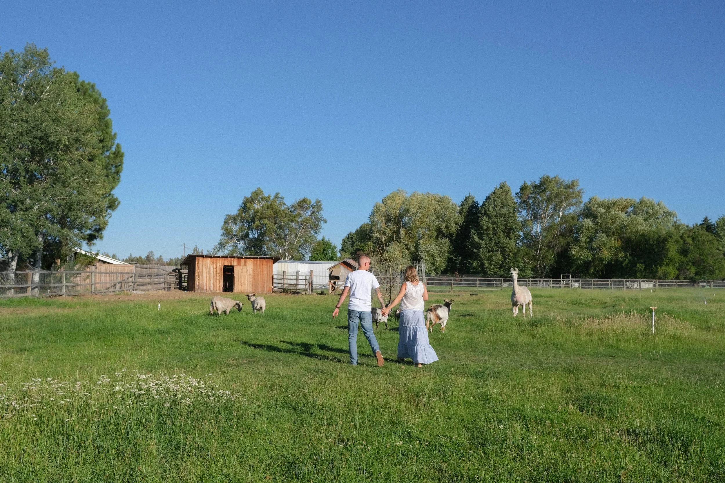 DSCF4285.jpg