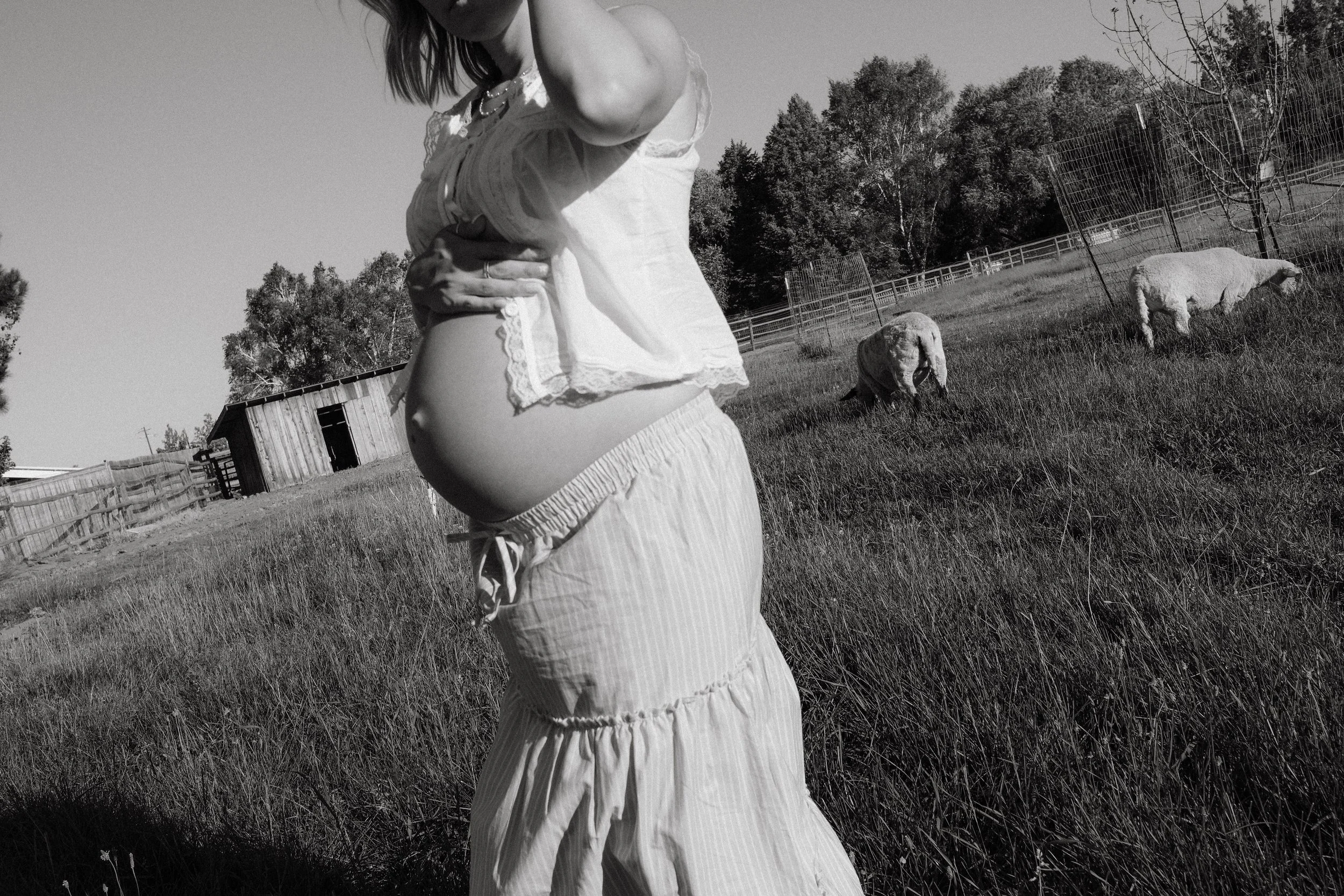 DSCF4340.jpg