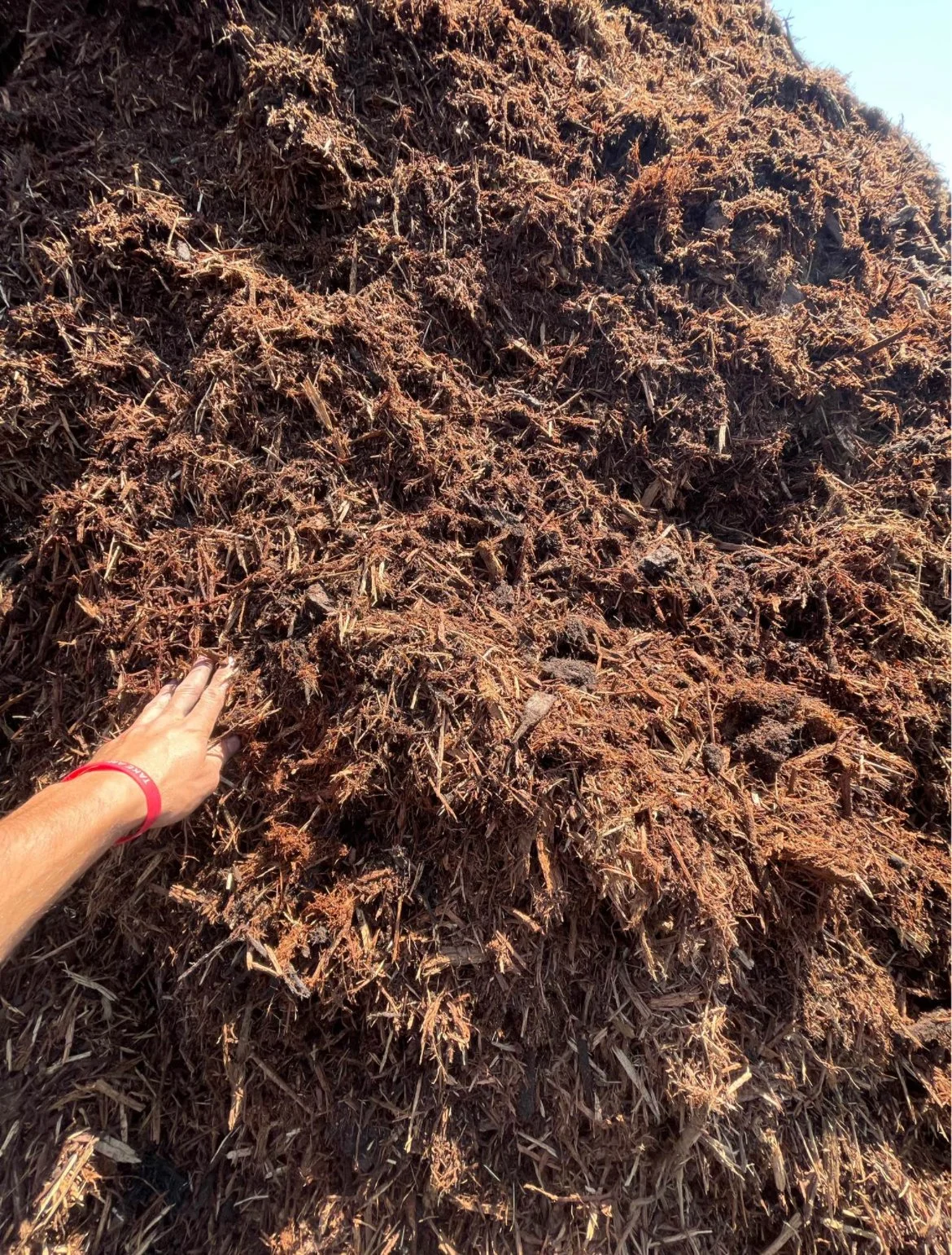 mulch 3.jpg