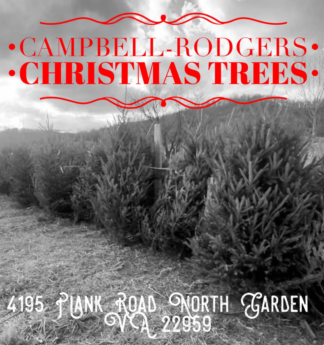 Black and white image of Christmas trees in a field with a sign that reads "Campbell-Rodgers Christmas Trees" and an address at 4195 Punk Road, North Garden, VA 22959.