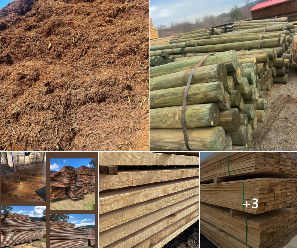 Various types of raw and processed lumber, including sawdust, stacked lumber, and timber, stored outdoors and indoors.