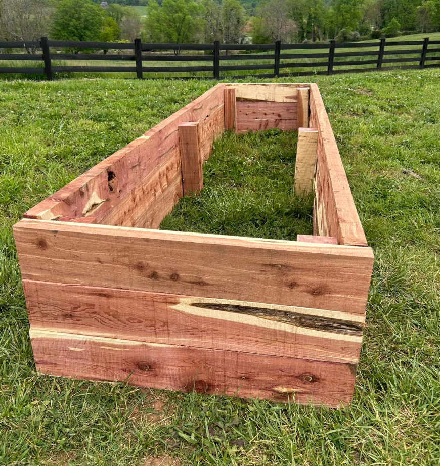 garden 2.png
