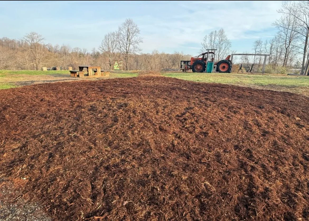 mulch 2.jpg