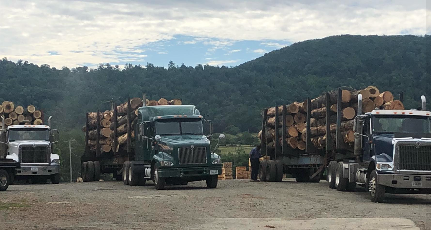Three semi-trucks loaded with cut logs are parked on a dirt lot with a mountain and cloudy sky in the background. One person is standing near the logs on the right side.