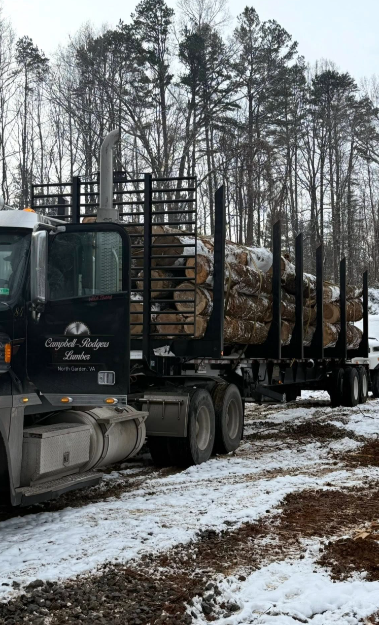 A large logging truck carrying cut logs on a snowy ground with leafless trees in the background.