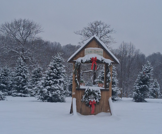 A decorated wooden Christmas display with a sign that reads 'Merry Christmas' and red bows, set in a snowy outdoor area with evergreen trees.