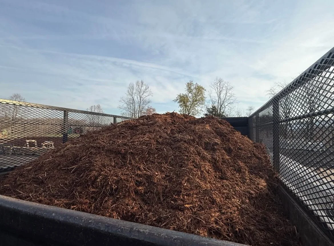 mulch 5.jpg