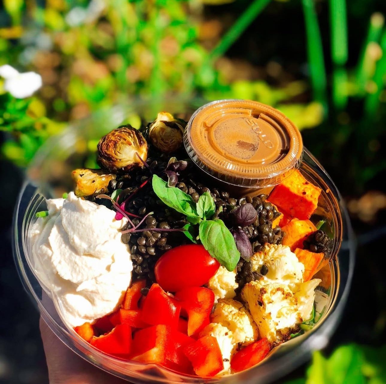 Organic gluten-free catering bowl with roasted vegetables and greens, Green Fork & Straw