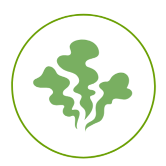 Green cannabis or marijuana leaf inside a green circle.