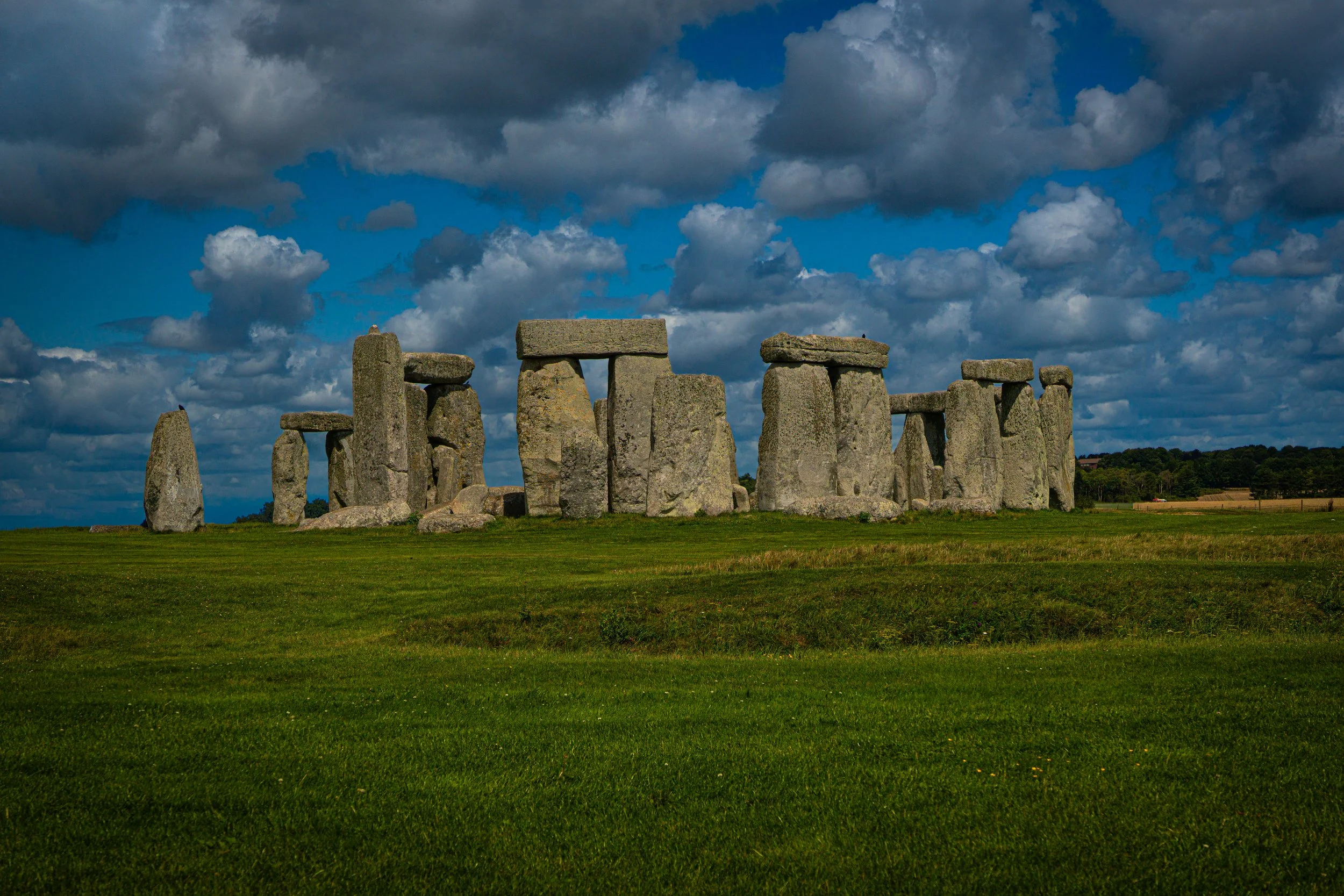 DSC04884-2.jpg