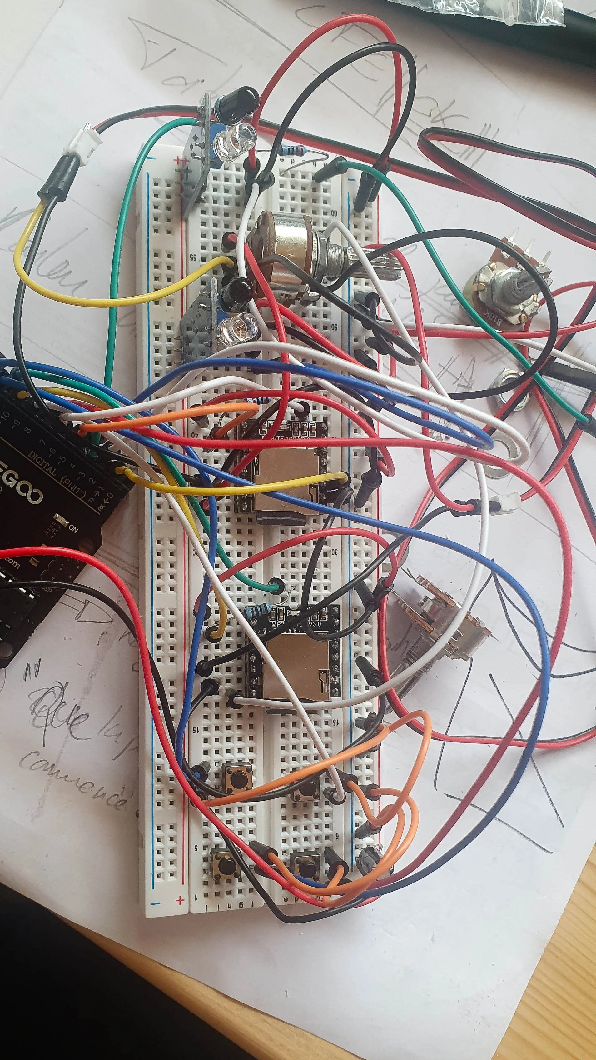 20250610_104722.jpg