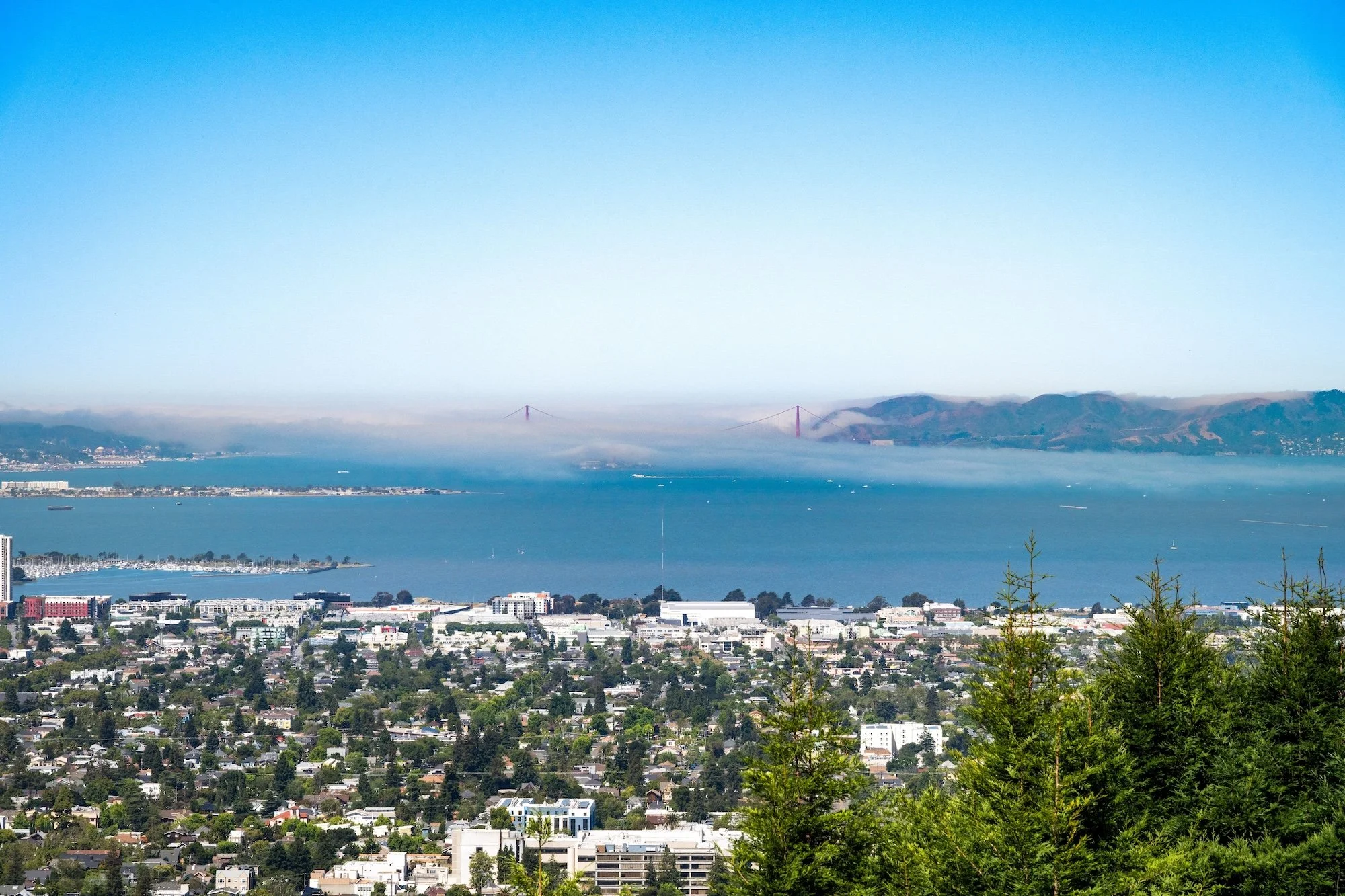 A cityscape with a body of water, hills in the background, and a bridge partially visible through fog.