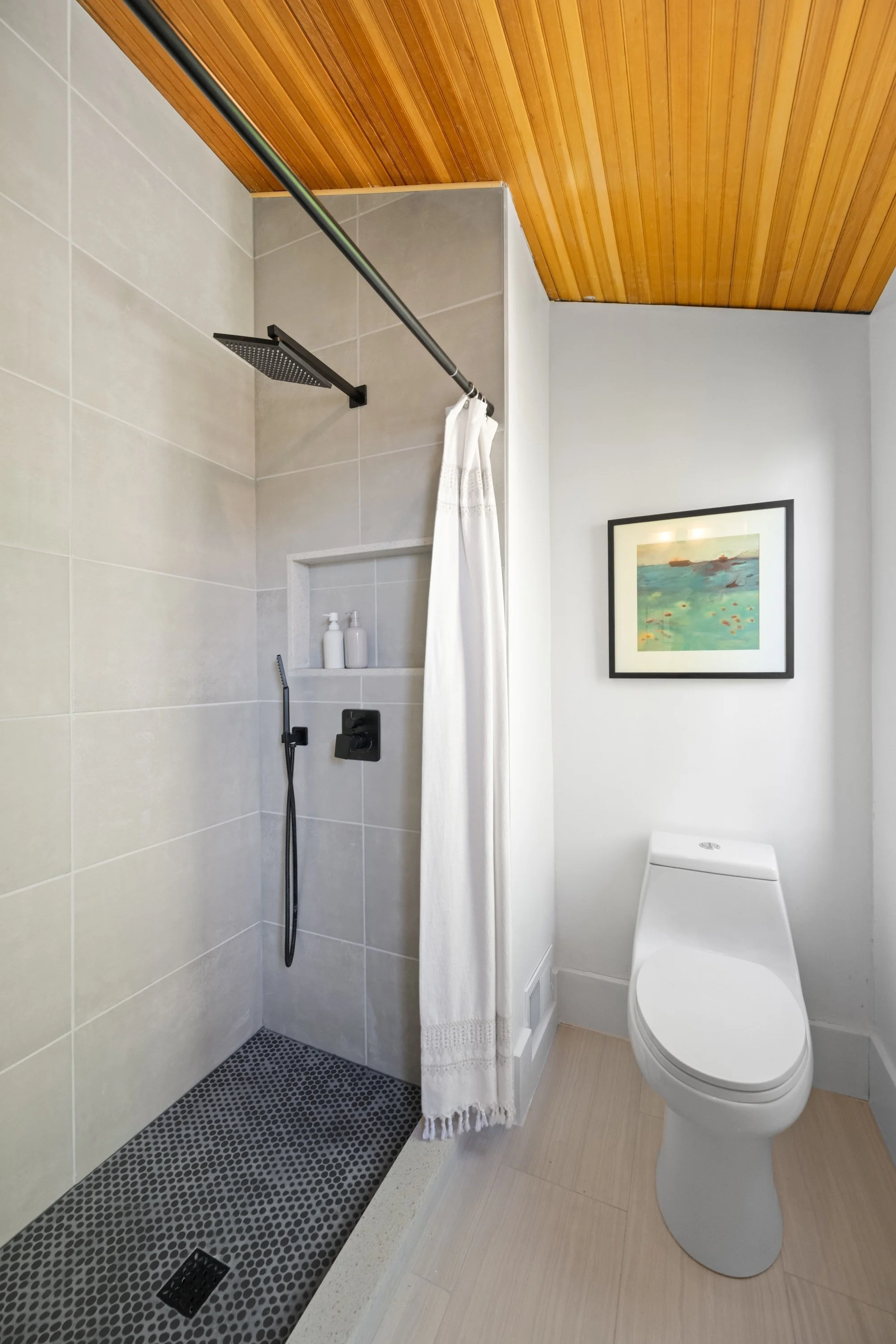 A bathroom with a walk-in shower featuring a rain shower head and a handheld shower, separated by a shower curtain, and a modern toilet with a framed painting on the wall.