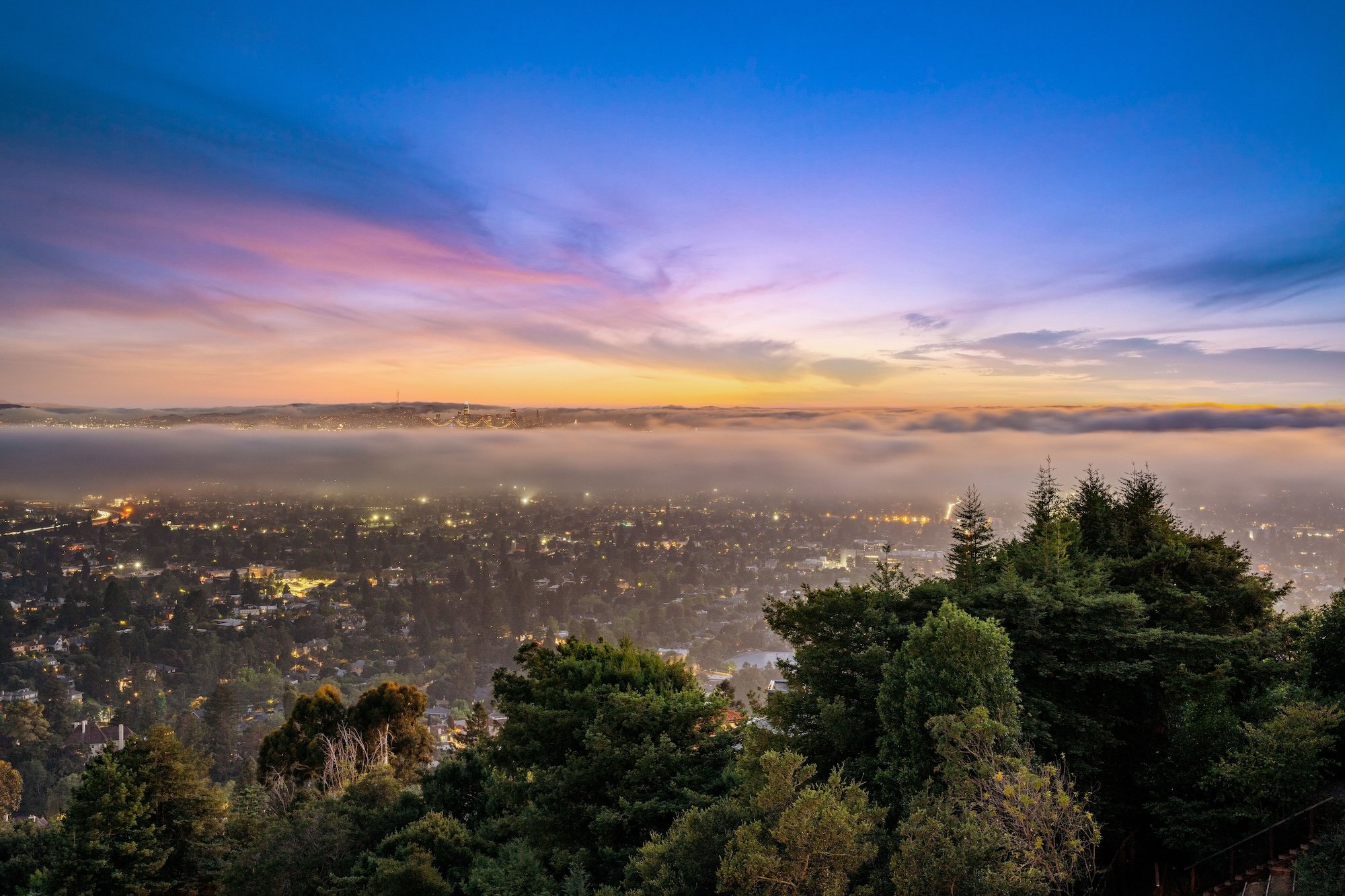A city skyline at dawn with fog rolling over the city, with colorful clouds in the sky and trees in the foreground.