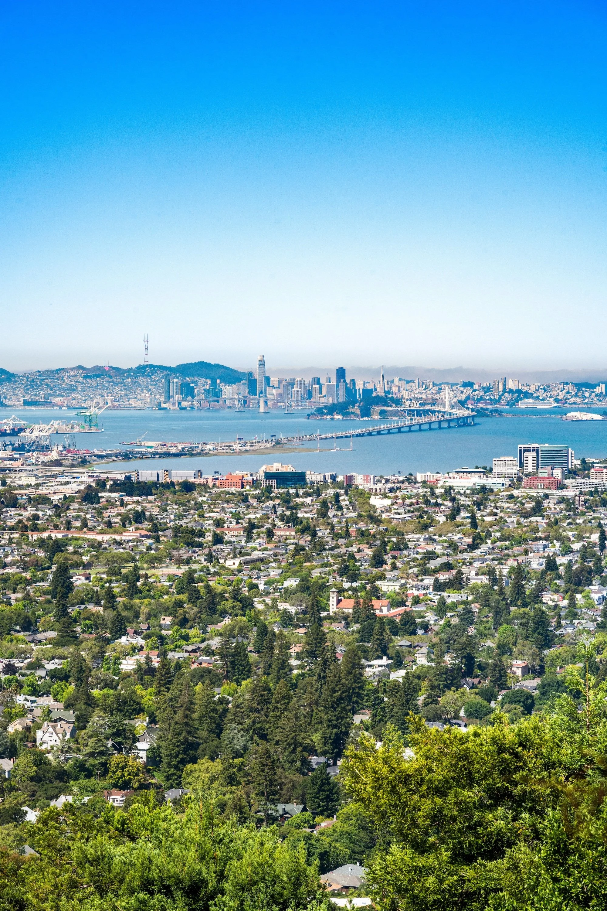 Scenic view of the San Francisco skyline with the Bay Bridge, Bay Bridge, and downtown buildings, taken from a hillside residential area with lots of trees in the foreground.