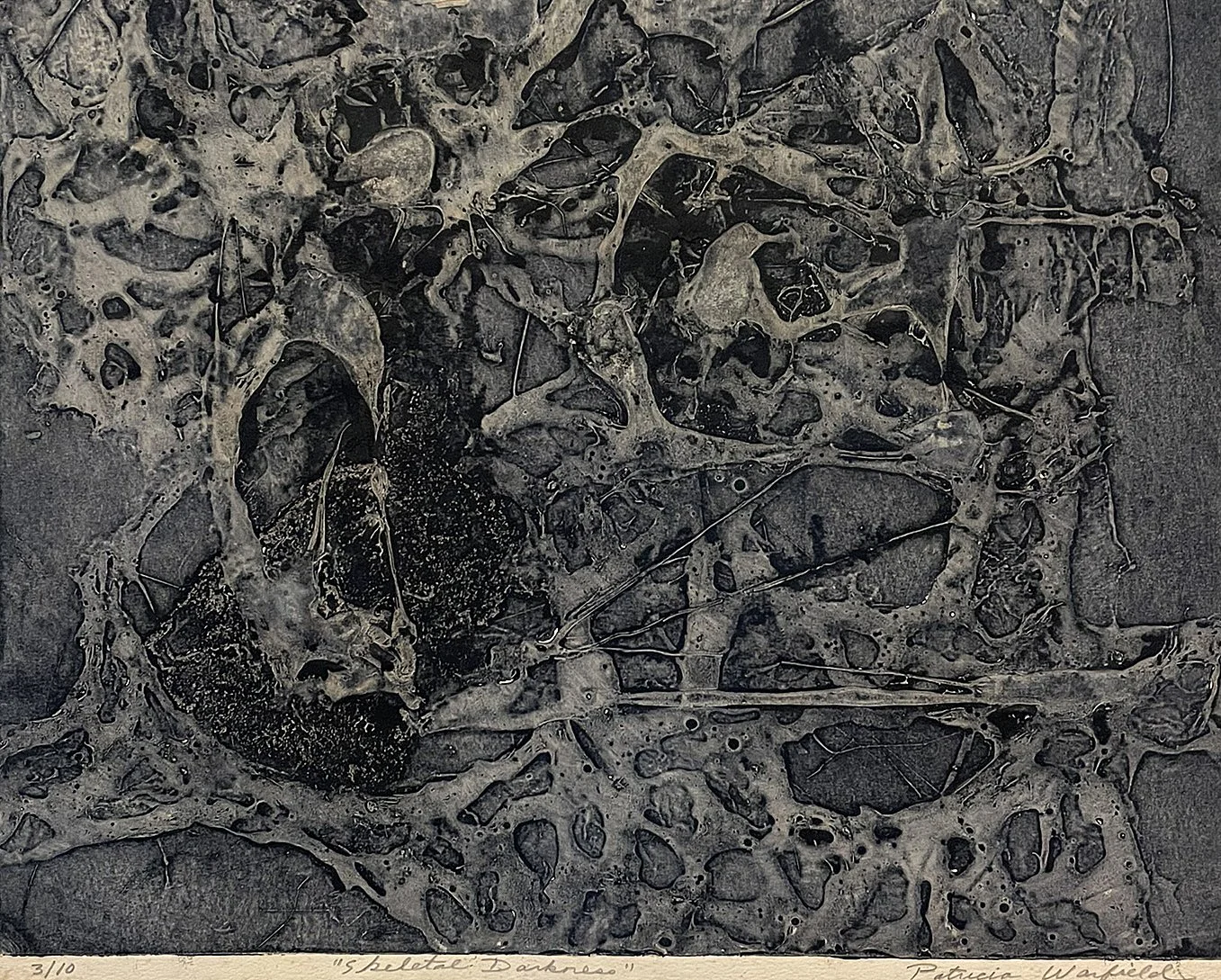  Skeletal Darkness 

 

 MEDIUM  : Carborundum Collagraph

 

 DIMENSIONS  : 11 3/4" X 15"

 

 PRICE  : $300