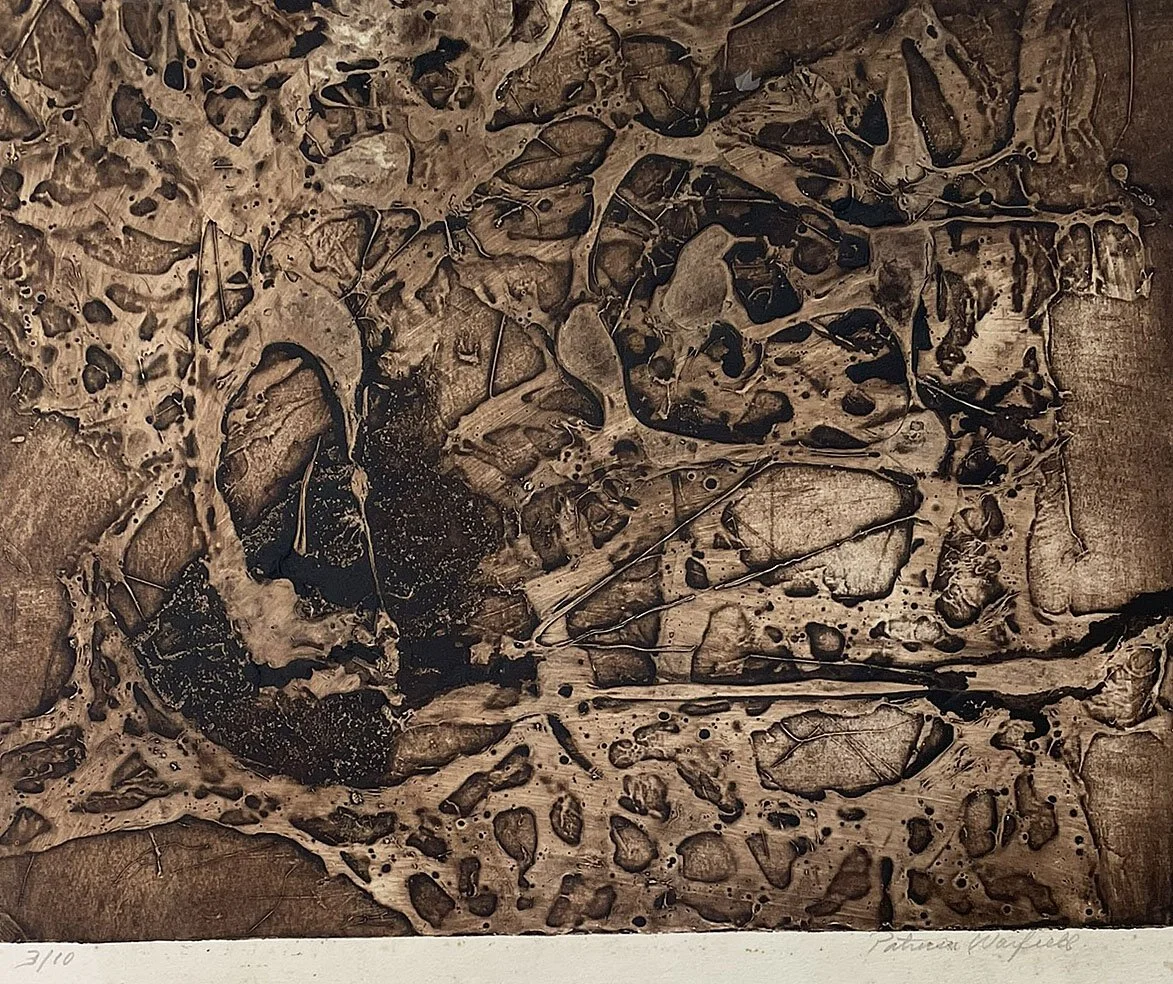  #L-14 

 

 MEDIUM  : Carborundum Collagraph Signed

 

 DIMENSIONS  : 12" X 15"

 

 PRICE  : $400