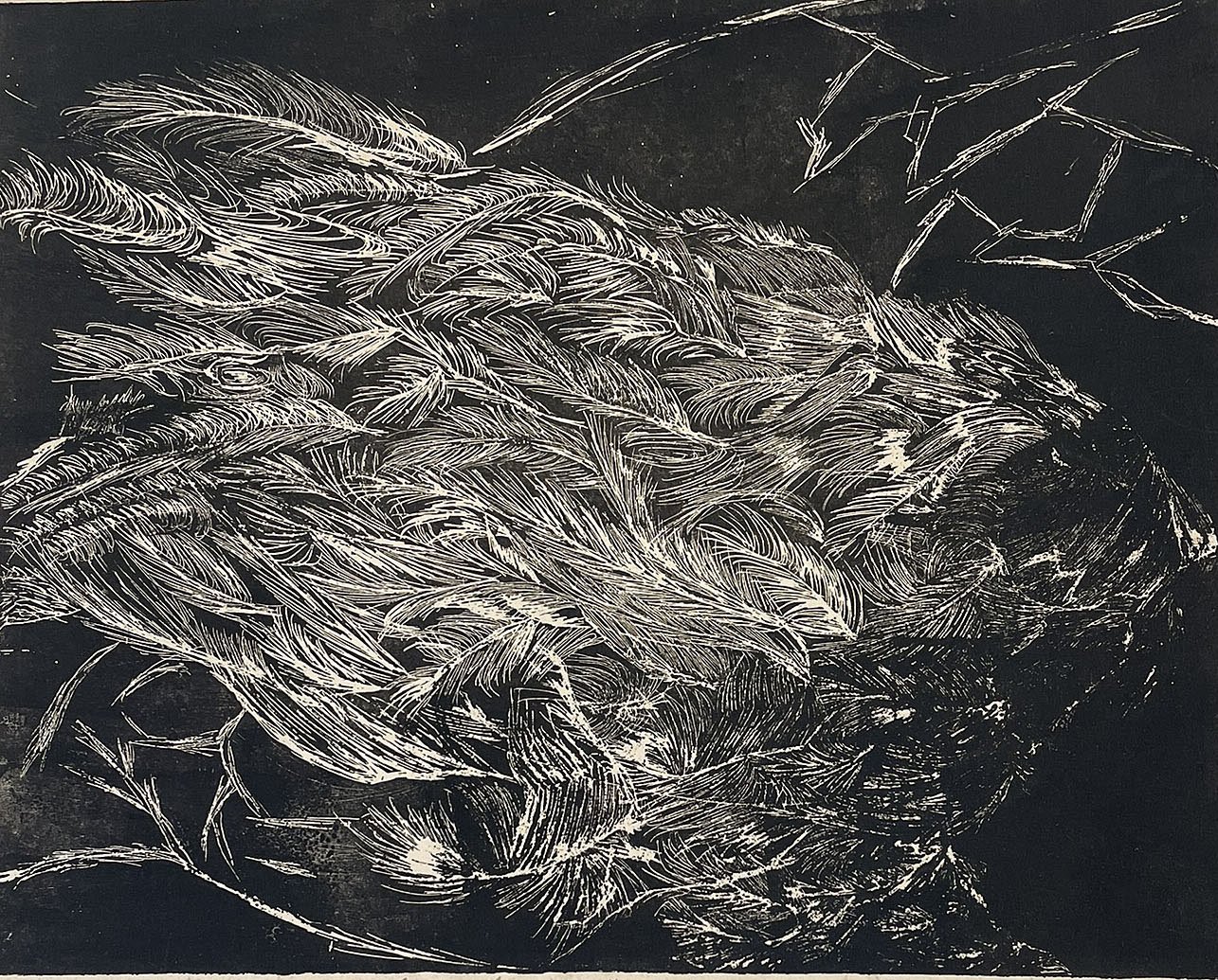  #I-8-Snowbound Iii 

 

 MEDIUM  : Etching

 

 DIMENSIONS  : 11" X 13 3/4"

 

 PRICE  : $550