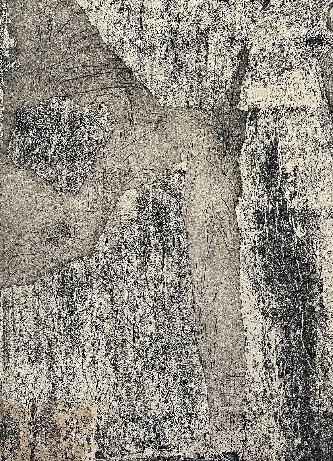  Untitled #67 

 

 MEDIUM  : Carborundum Collagraph

 

 DIMENSIONS  : 26" X 18"

 

 PRICE  : $400