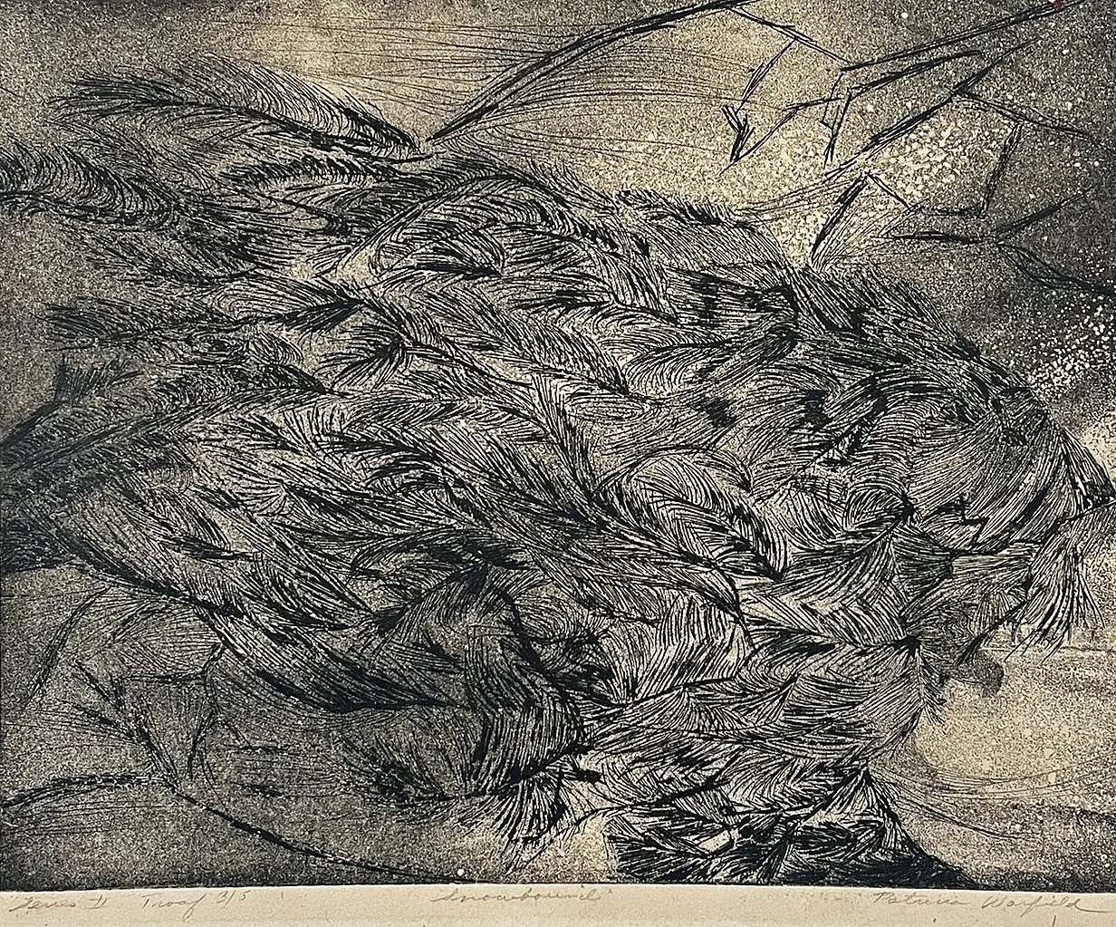  #I-69- Snowbound Ii 

 

 MEDIUM  : Etching

 

 DIMENSIONS  : 11" X 13 3/4"

 

 PRICE  : $300