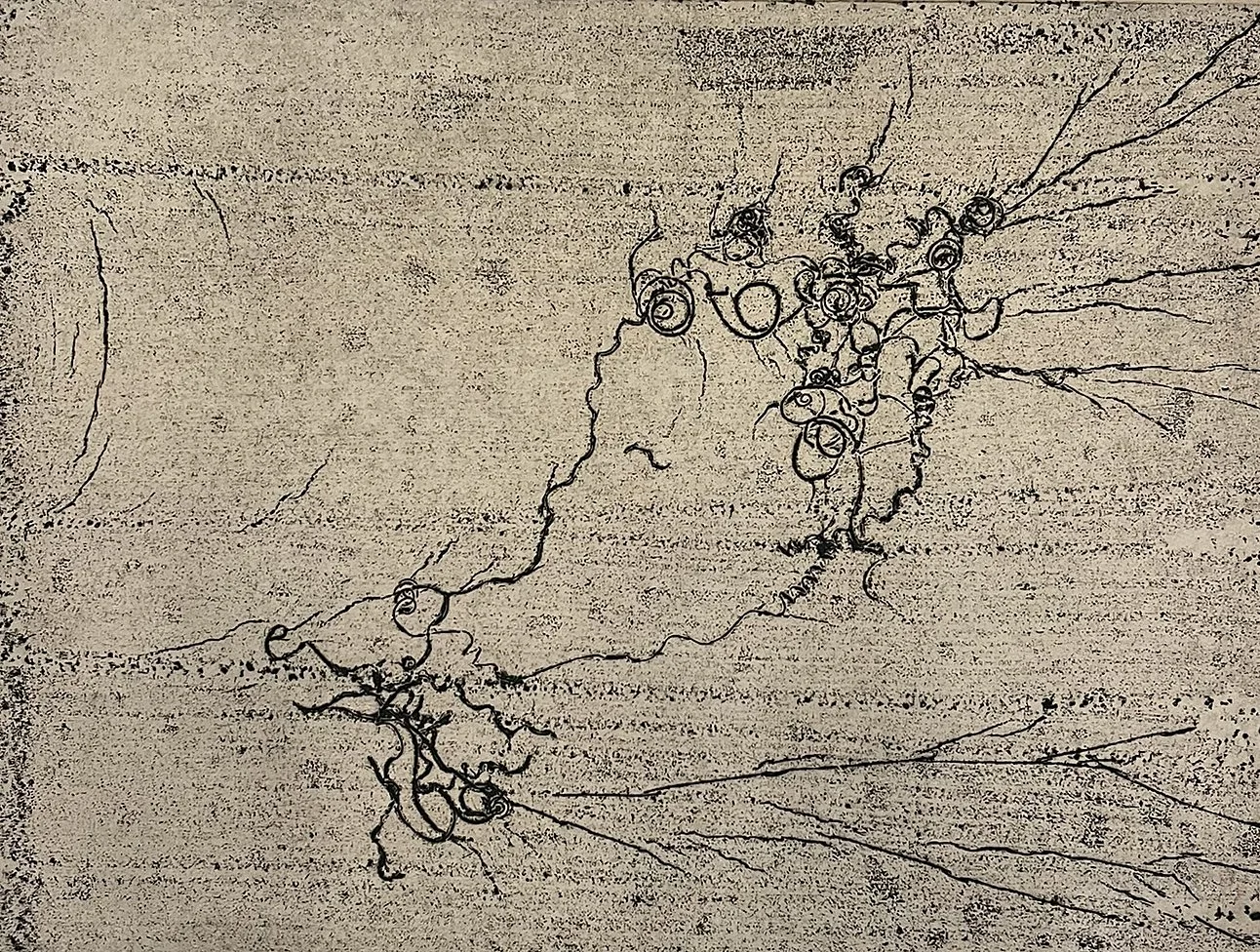  #E-4 

 

 MEDIUM  : Carborundum Collagraph

 

 DIMENSIONS  : 9" X 12"

 

 PRICE  : $200