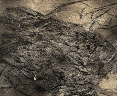  #I-57-Snowbound I 

 

 MEDIUM  : Etching

 

 DIMENSIONS  : 11" X 13 3/4"

 

 PRICE  : $250