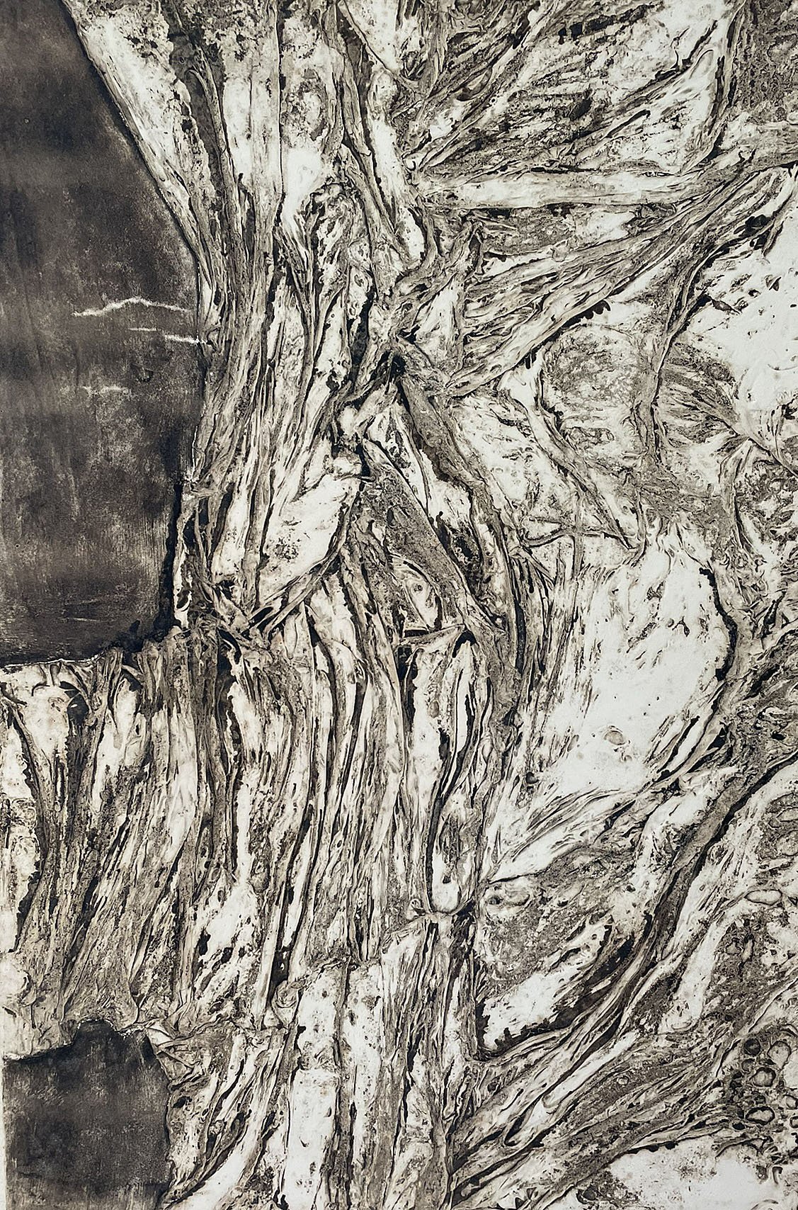  Untitled #13 

 

 MEDIUM  : Carborundum Collagraph 

 

 DIMENSIONS  : 21"X 14"

 

 PRICE  : $450