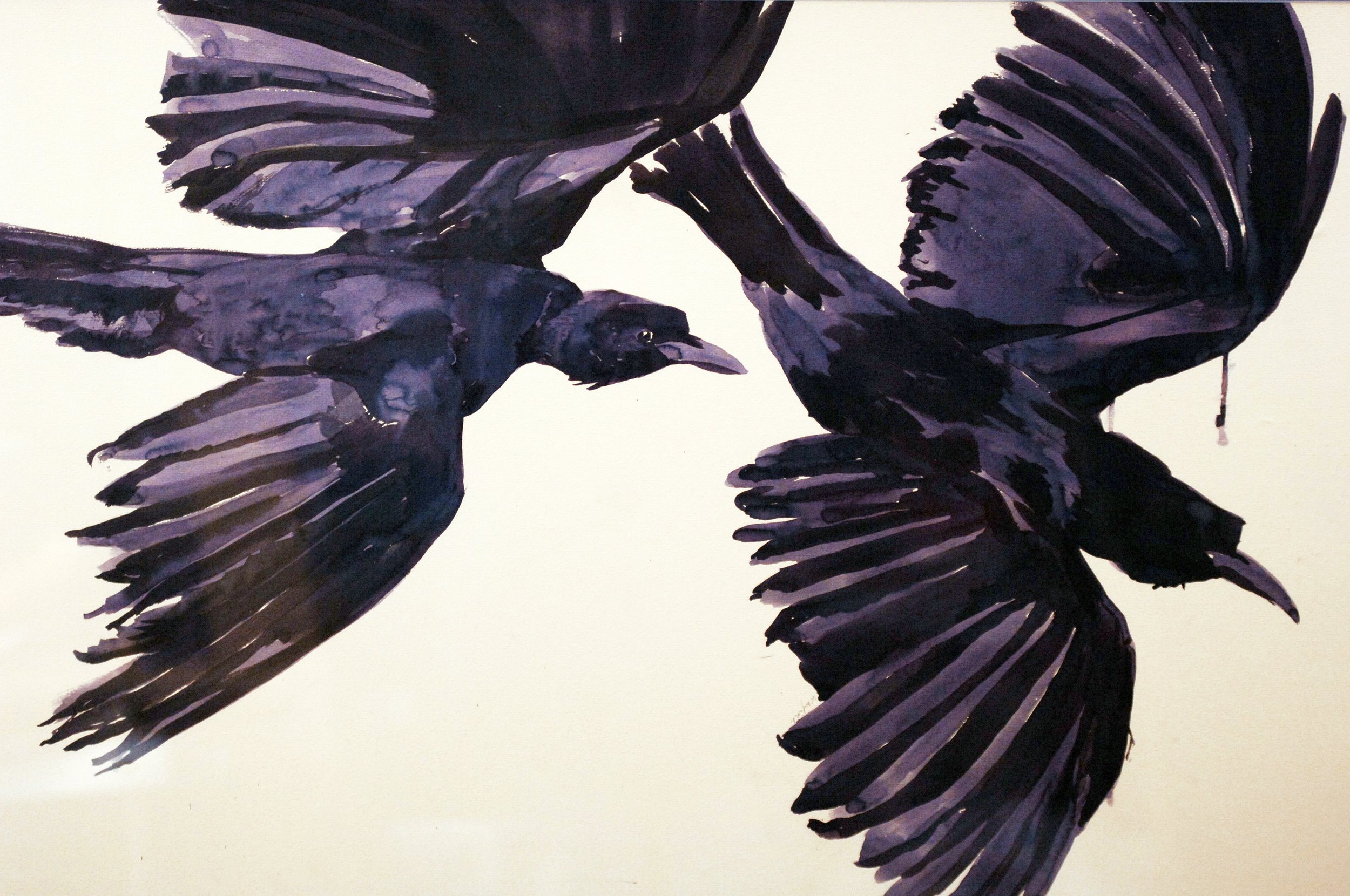  TOPIC  : As the Crow Flies

 

 MEDIA  : India Ink

 

 SIZE  : 22 X 34"

 

 PRICE  : PRIVATE COLLECTION