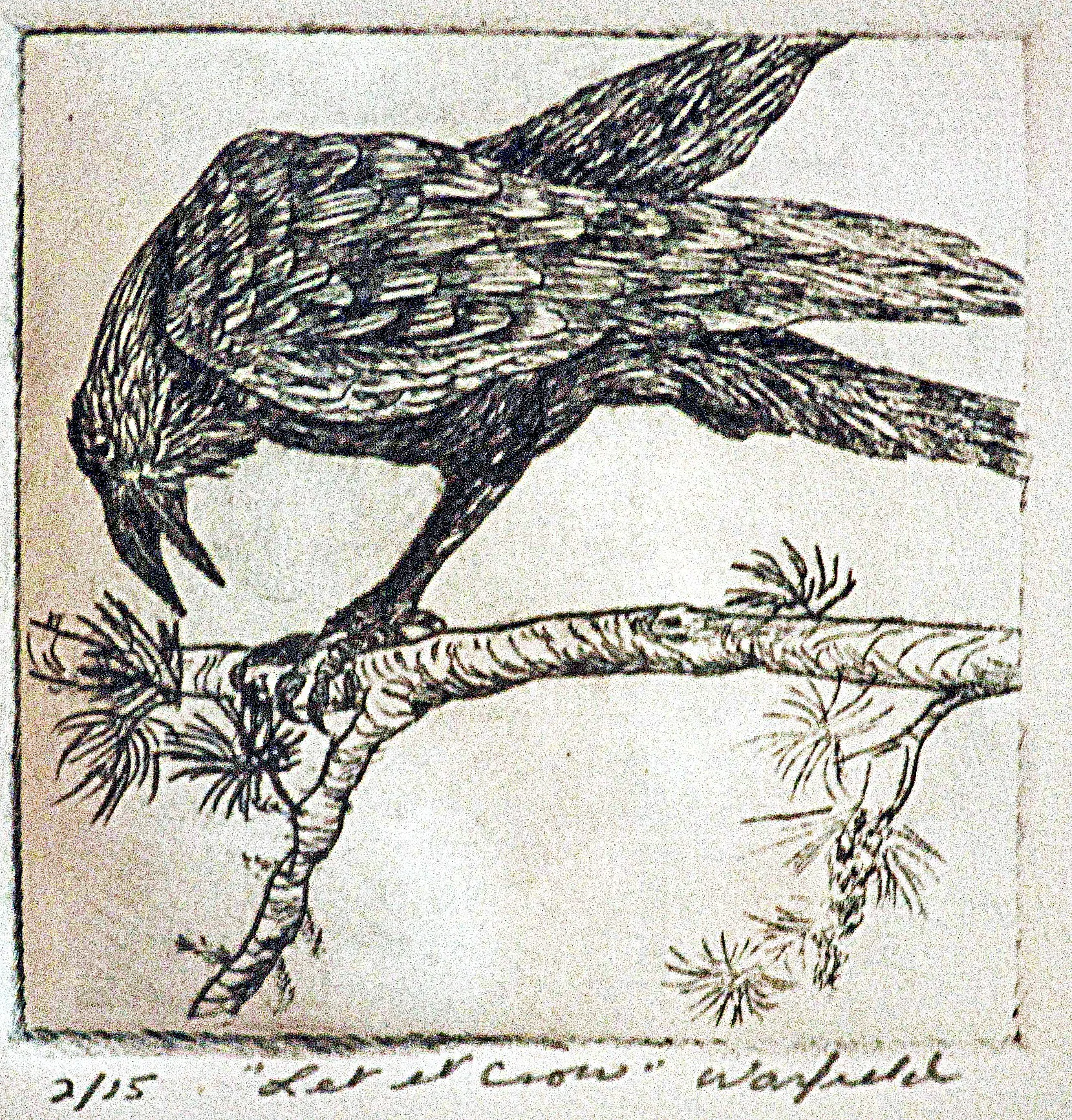  TOPIC  : Let It Crow

 

 MEDIA  : Drypoint Etching

 

 SIZE  : 4 X 4

 

 PRICE  : $150