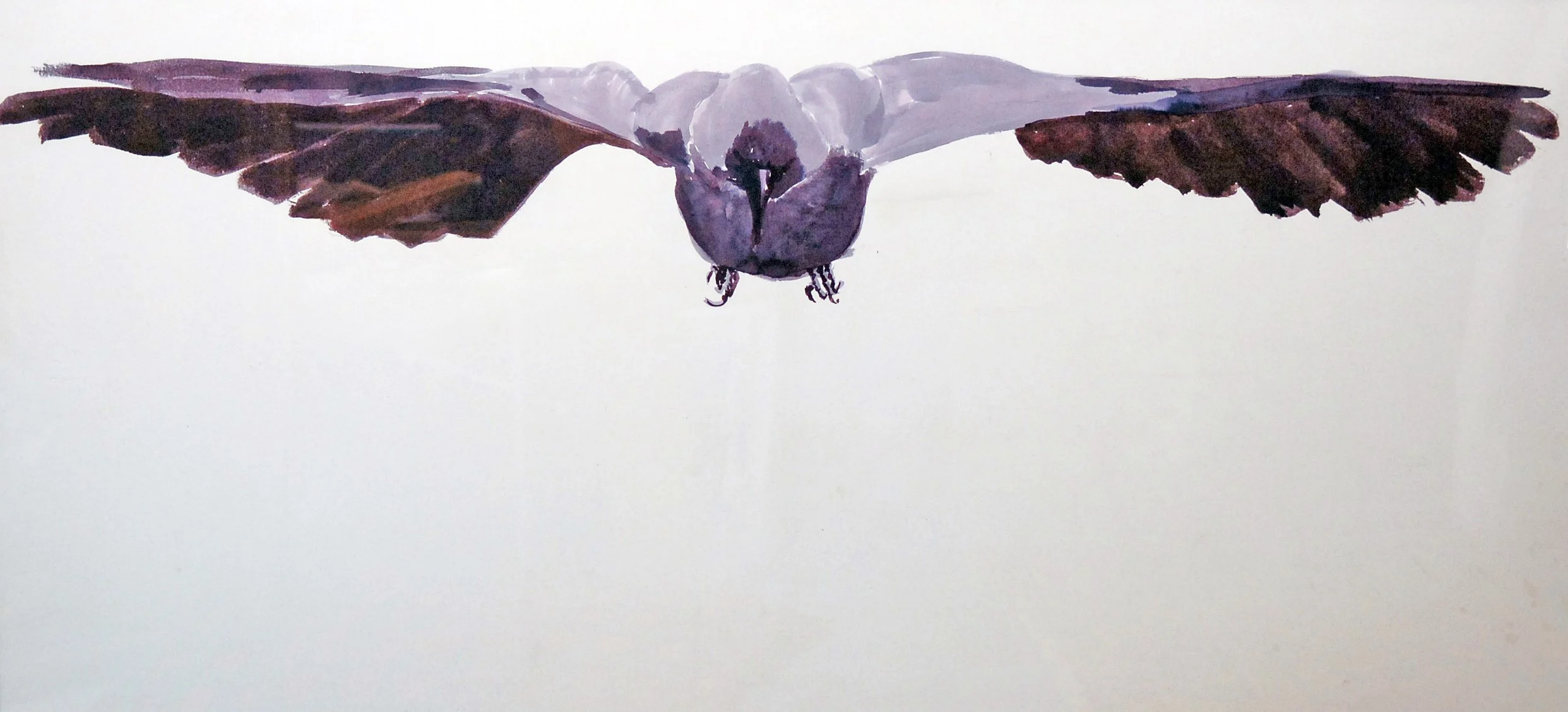  TOPIC  : Hovering Crow

 

 MEDIA  : India Ink

 

 SIZE  : 24" X 30"

 

 PRICE  : PRIVATE COLLECTION
