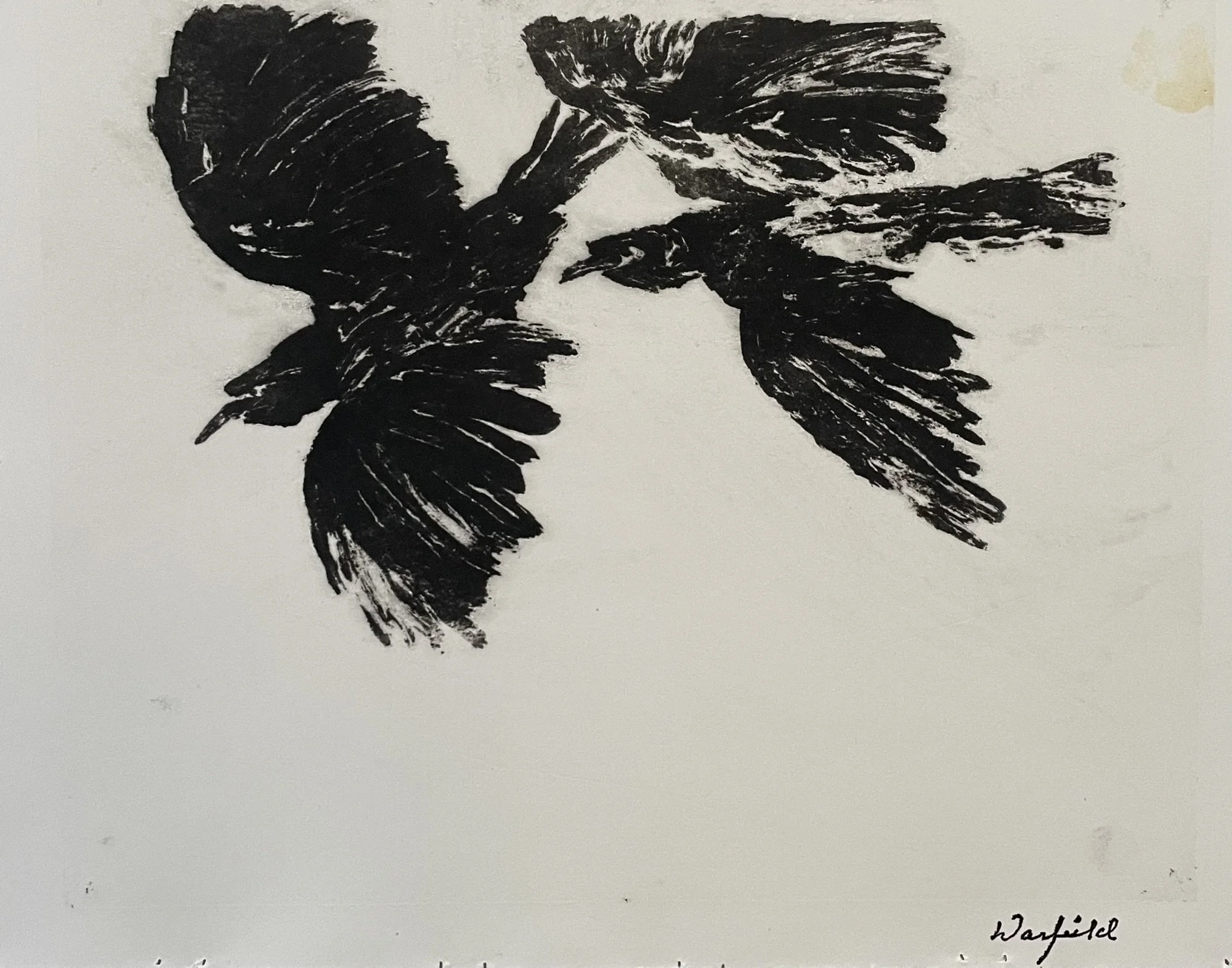  TOPIC  : As The Crow Flies #2

 

 MEDIA  : Monoprint

 

 SIZE  : 11" X 9"

 

 PRICE  : $350