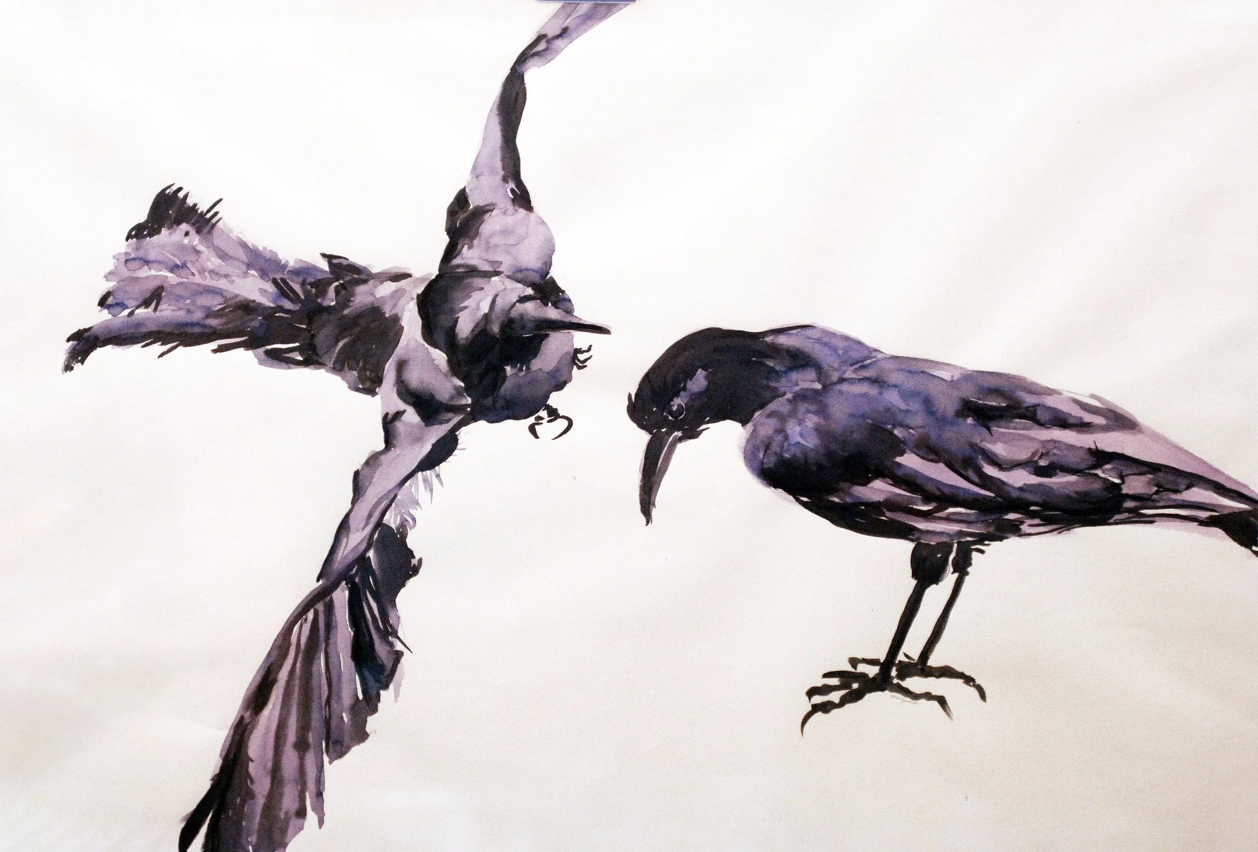  TOPIC  : Duet

 

 MEDIA  : India Ink

 

 SIZE  : 22" X 34"

 

 PRICE  : $2,500