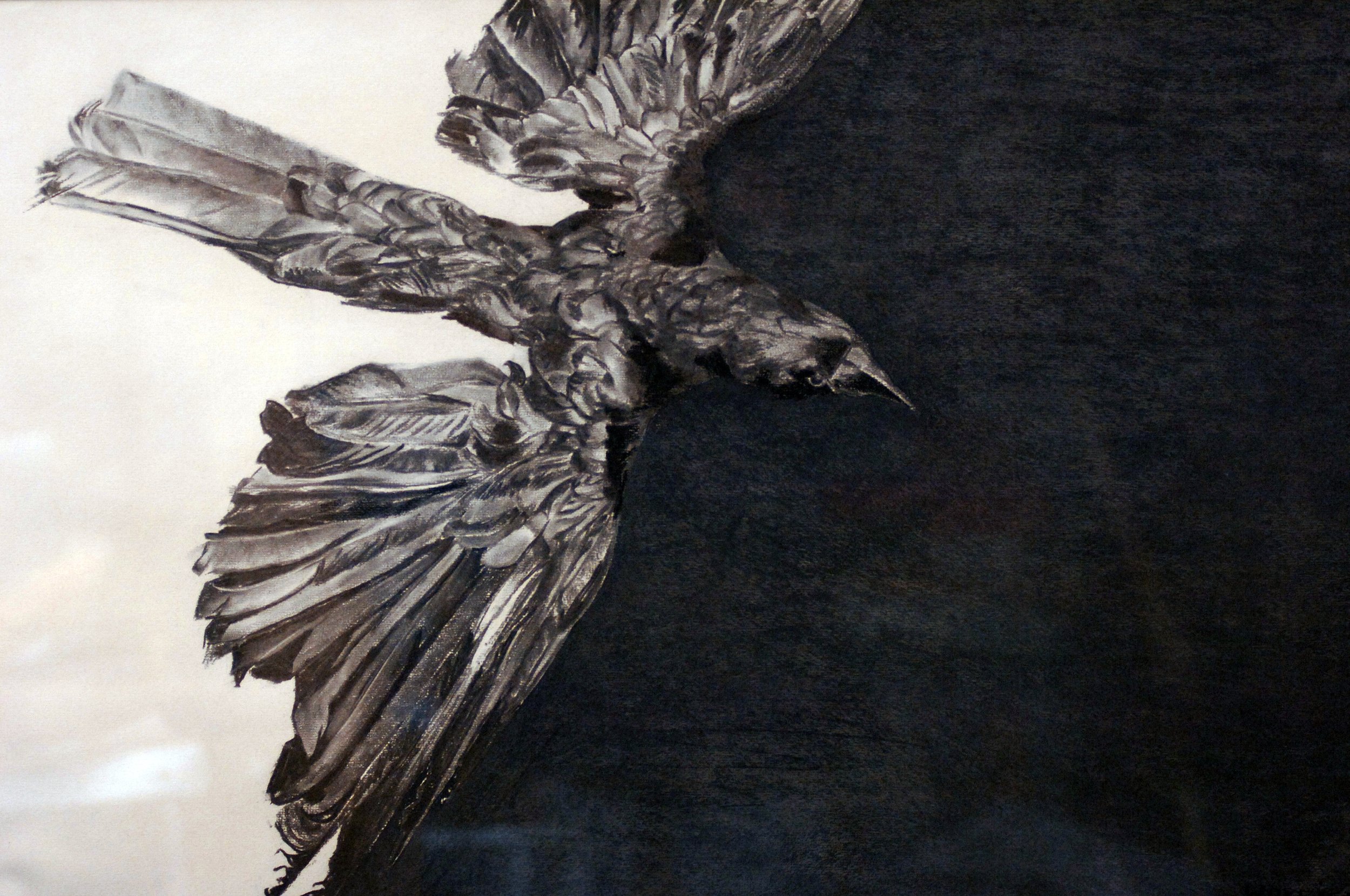  TOPIC  : Night And Day

 

 MEDIA  : India Ink

 

 SIZE  : 22" X 34"

 

 PRICE  : $3,000