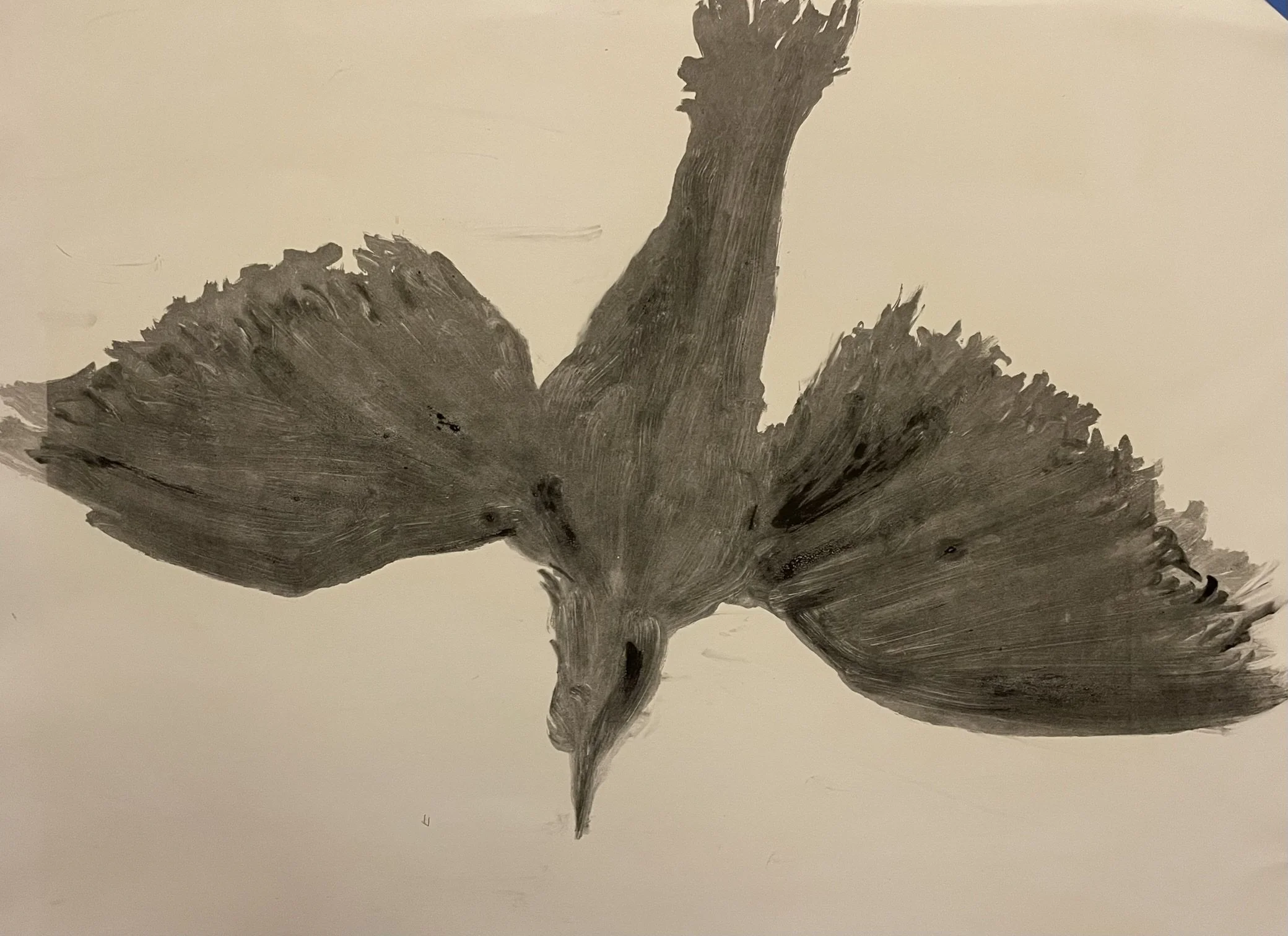  TOPIC  : Flight #2

 

 MEDIA  : Monoprint

 

 SIZE  : 22" x 29"

 

 PRICE  : $550