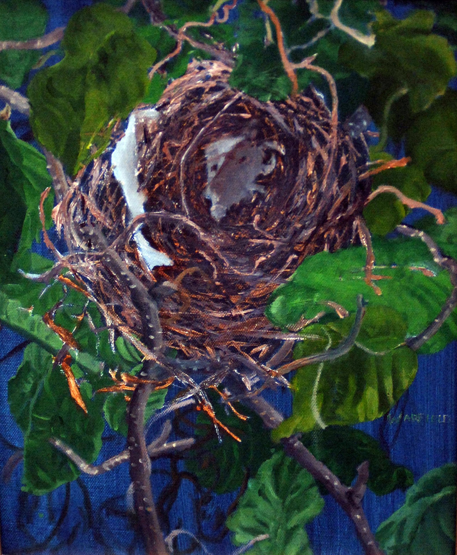  TOPIC  : BRIDEGPORT NEST

 

 MEDIA  : OIL

 

 SIZE  : 14 X 11"

 

 PRICE  : $ 1,800