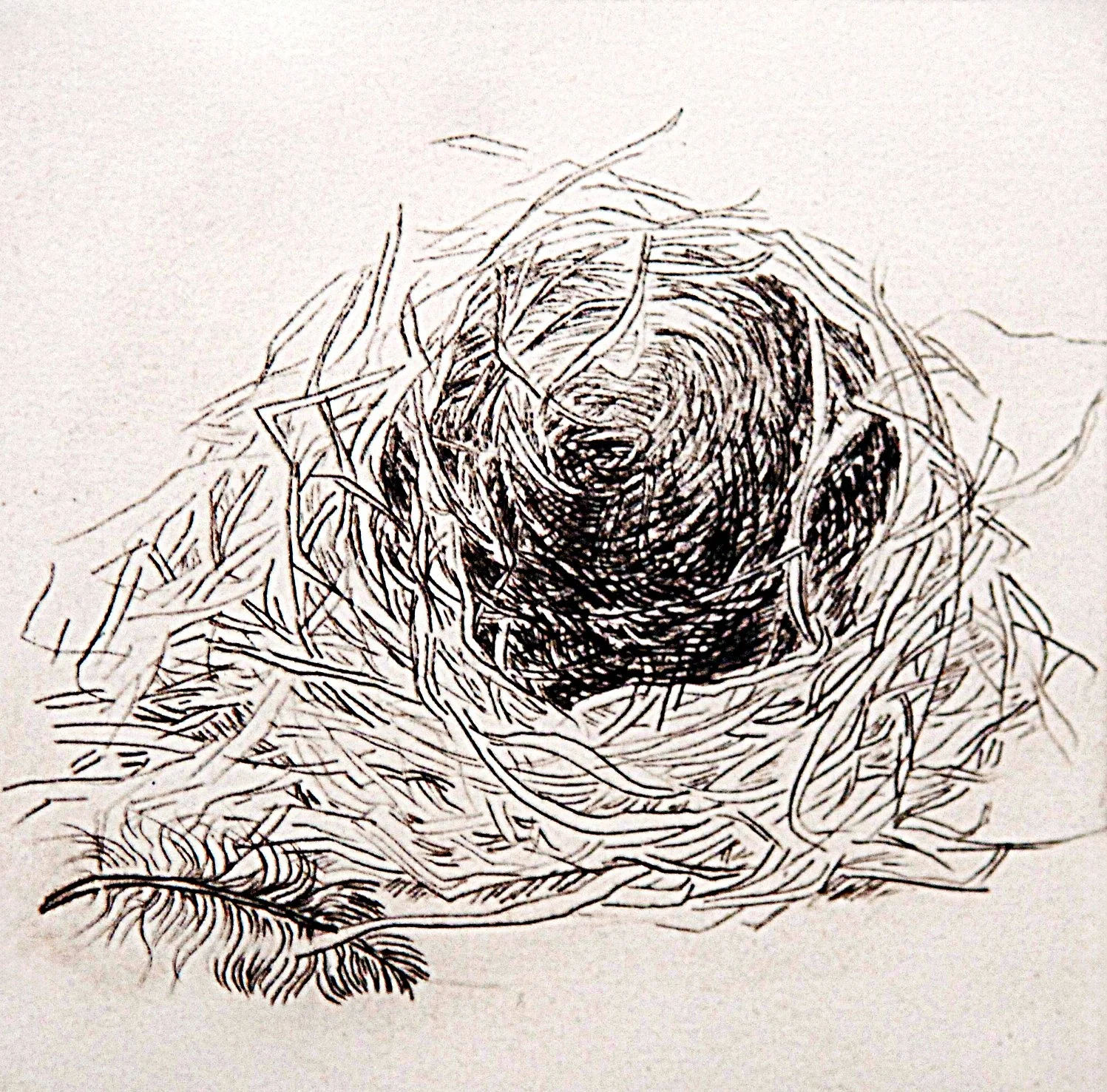  TOPIC  : EMPTY NESTERS

 

 MEDIA  : DRYPOINT

 

 SIZE  : 4 X 4"

 

 PRICE  : $ 150
