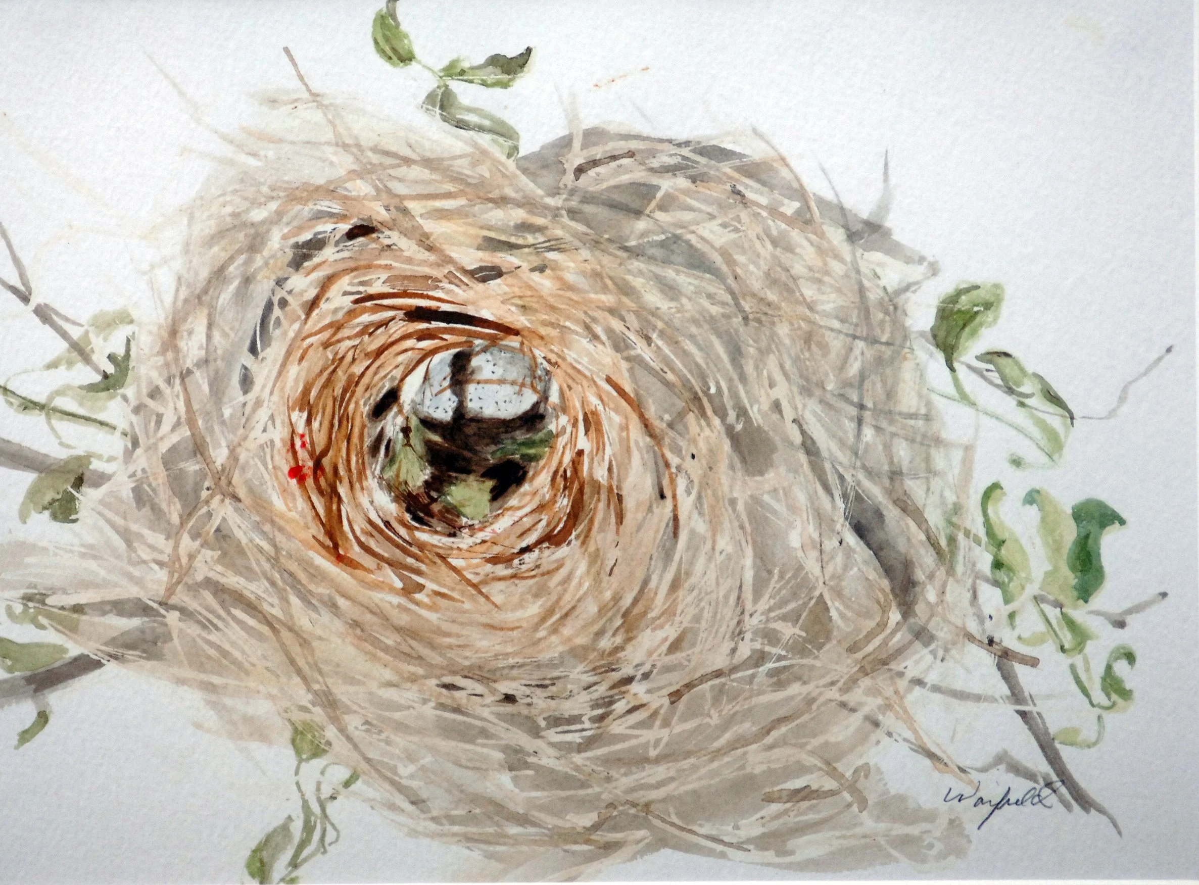  TOPIC  : BIRD NEST WITH CRACKED EGG

 

 MEDIA  : WATERCOLOR

 

 SIZE  : 8 X 10"

 

 PRICE  : PRIVATE COLLECTION