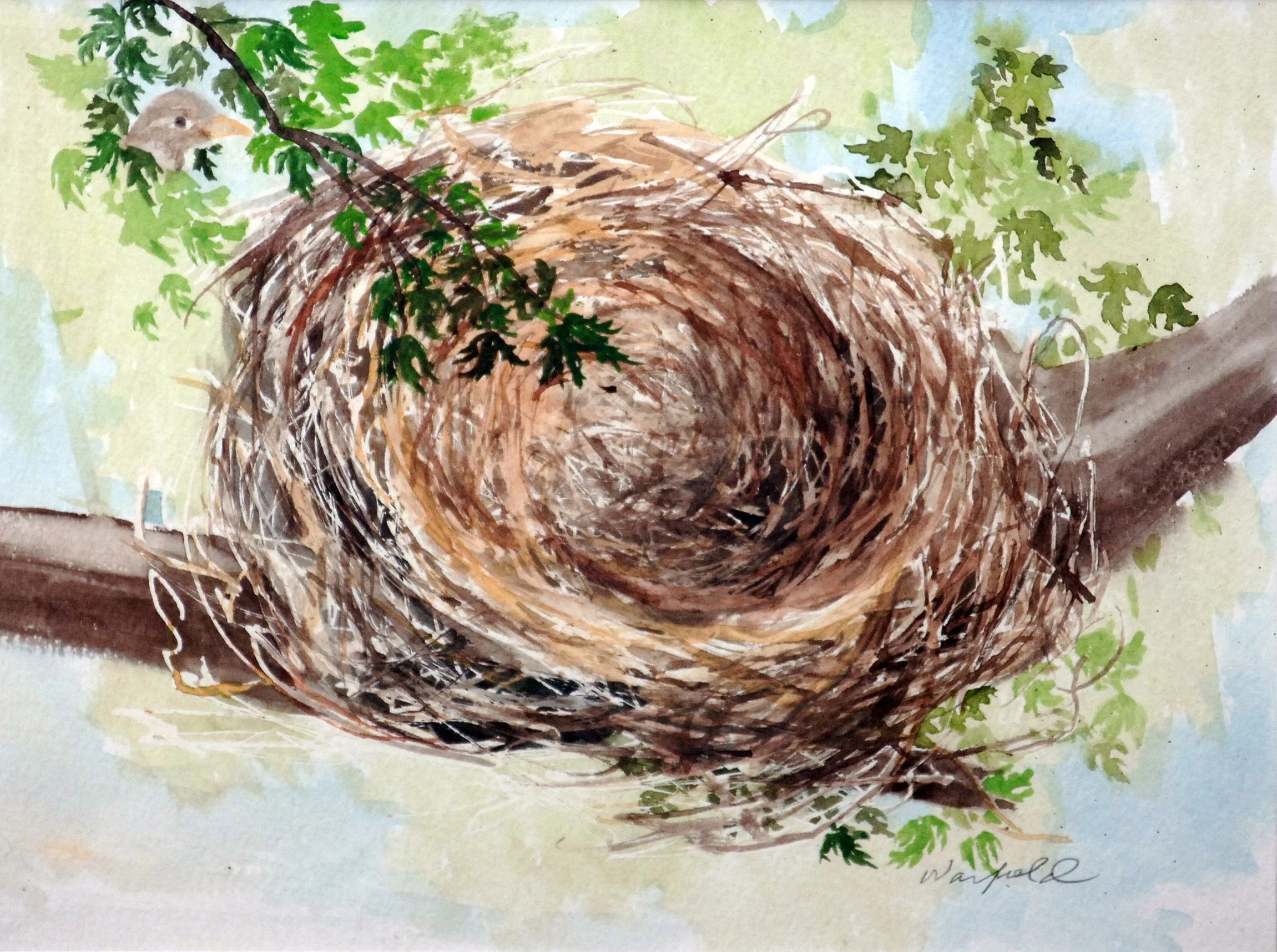  TOPIC  : HOME SWEET HOME- SPARROW NEST

 

 MEDIA  : WATERCOLOR

 

 SIZE  : 9 X12"

 

 PRICE  : $ 550