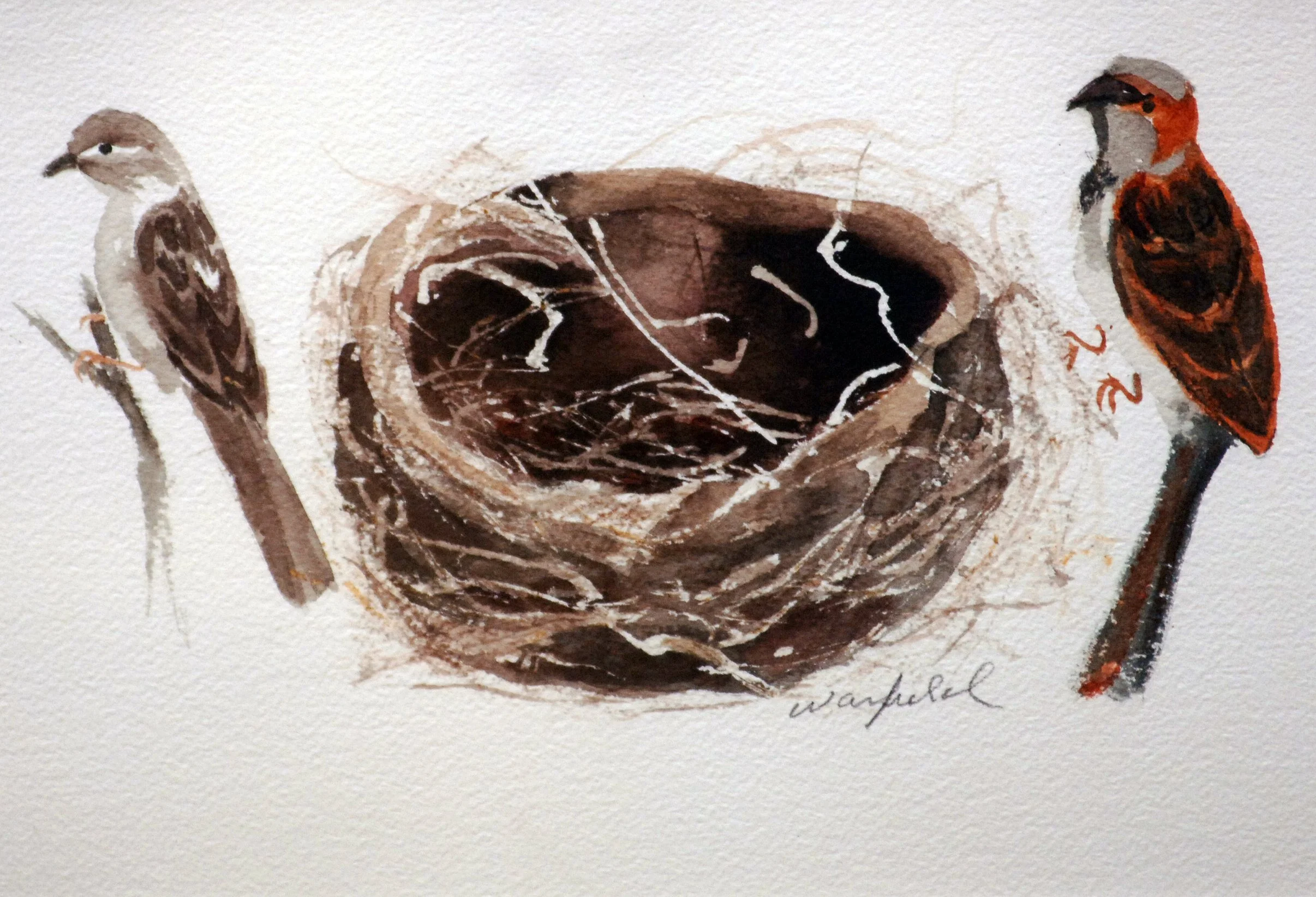  TOPIC  : STUDY OF SPARROWS WITH NEST

 

 MEDIA  : WATERCOLOR

 

 SIZE  : 9 X 12"

 

 PRICE  : PRIVATE COLLECTION 